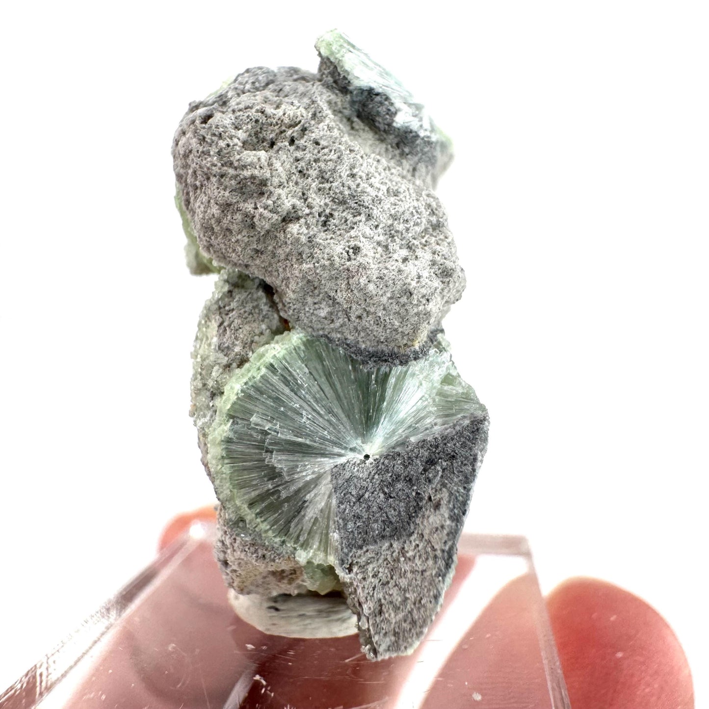 Wavellite (Arkansas, USA) | green crystal cluster, mineral specimen