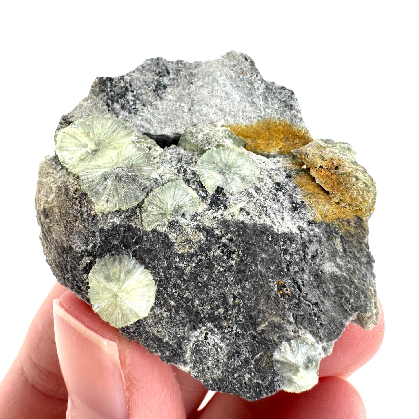 Wavellite (Arkansas, USA) | green crystal cluster, mineral specimen
