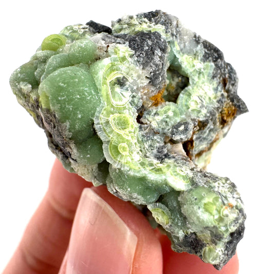 Wavellite (Arkansas, USA) | green crystal cluster, mineral specimen