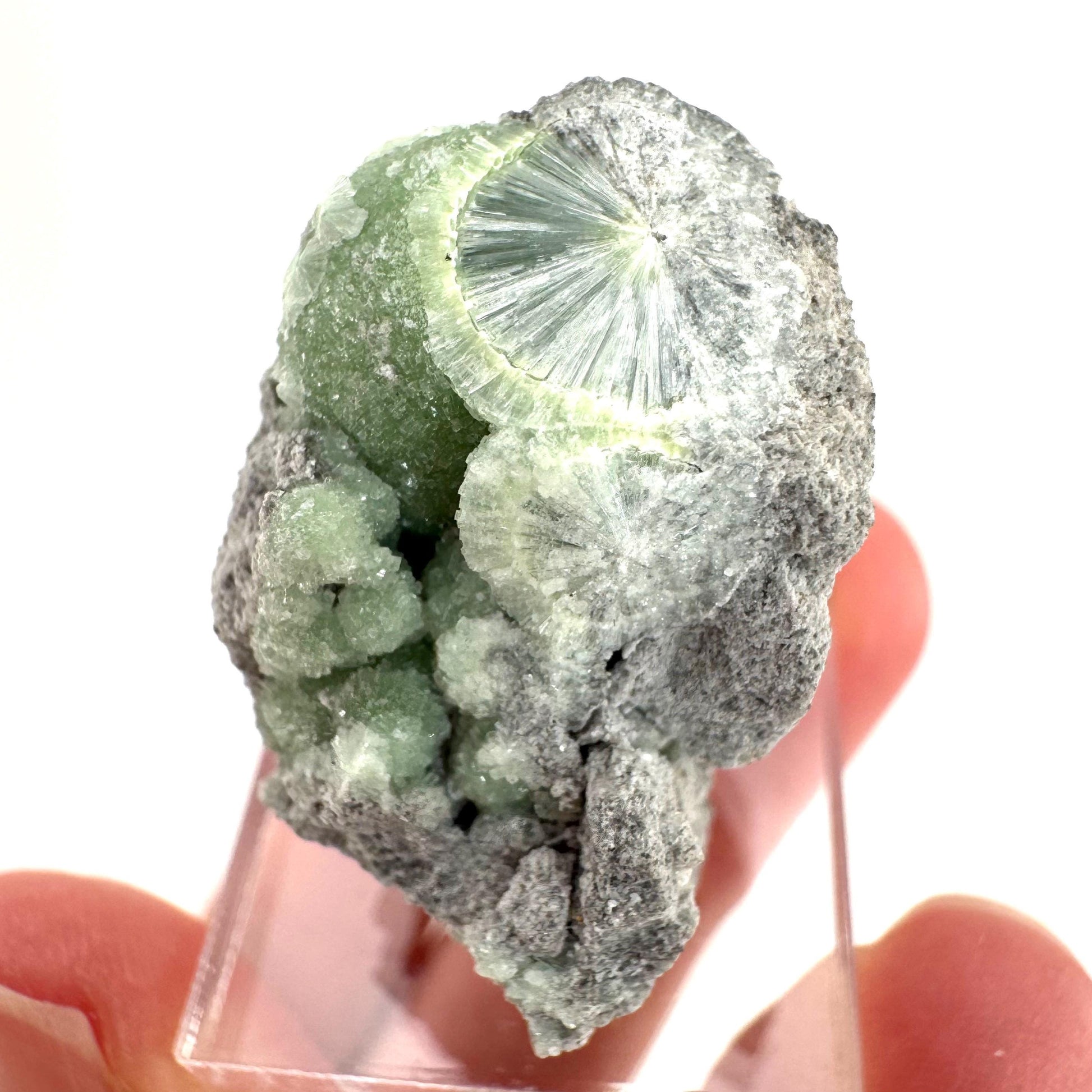 Wavellite (Arkansas, USA) | green crystal cluster, mineral specimen