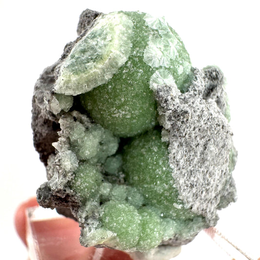 Wavellite (Arkansas, USA) | green crystal cluster, mineral specimen