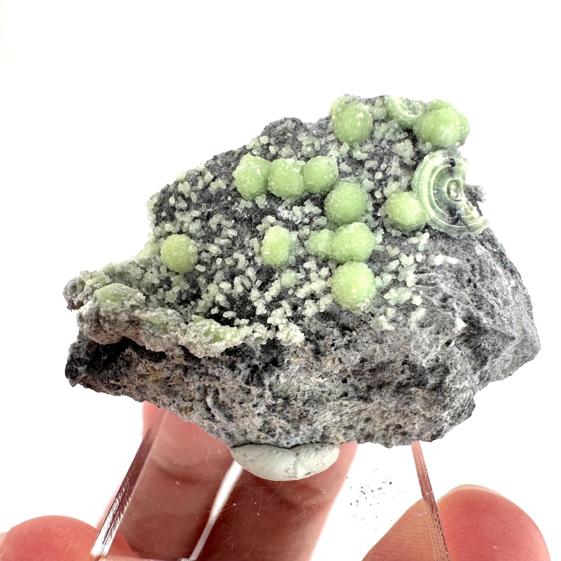 Wavellite (Arkansas, USA) | green crystal cluster, mineral specimen