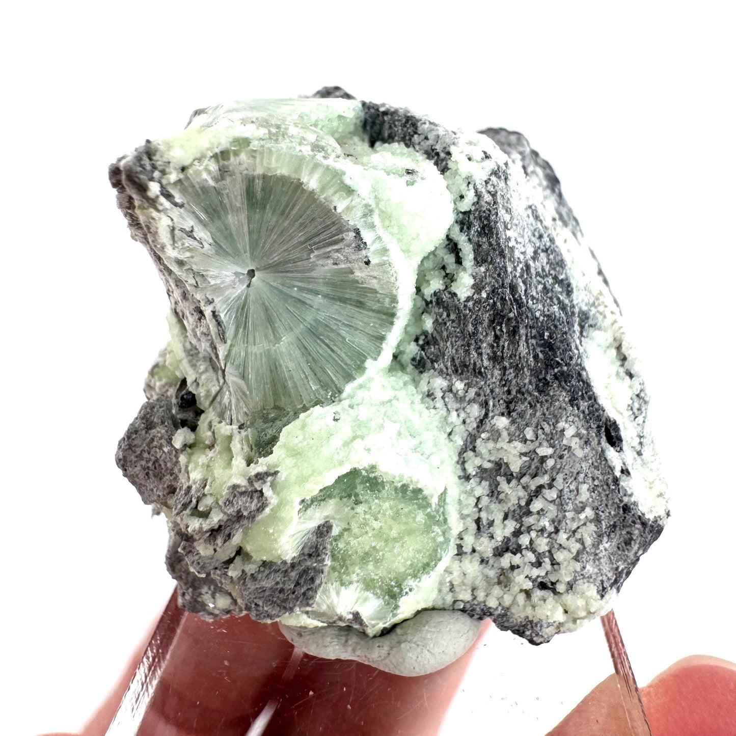 Wavellite (Arkansas, USA) | green crystal cluster, mineral specimen