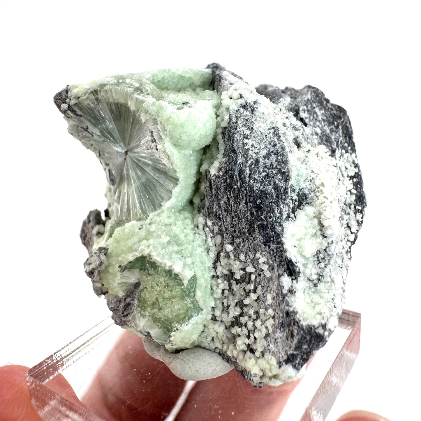 Wavellite (Arkansas, USA) | green crystal cluster, mineral specimen