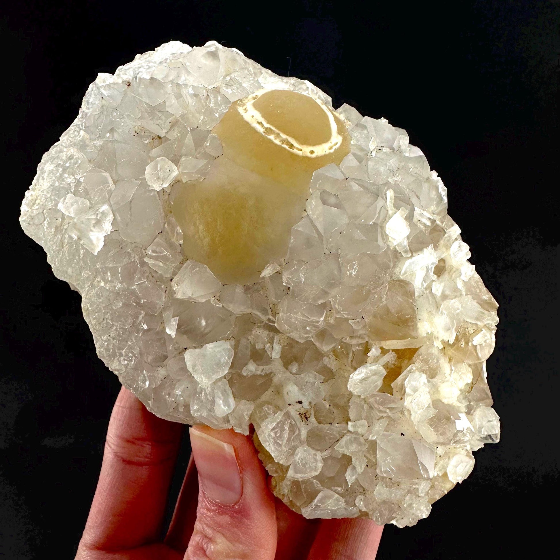 Botryoidal Fluorite on Quartz | yellow fried egg crystal, mineral specimen