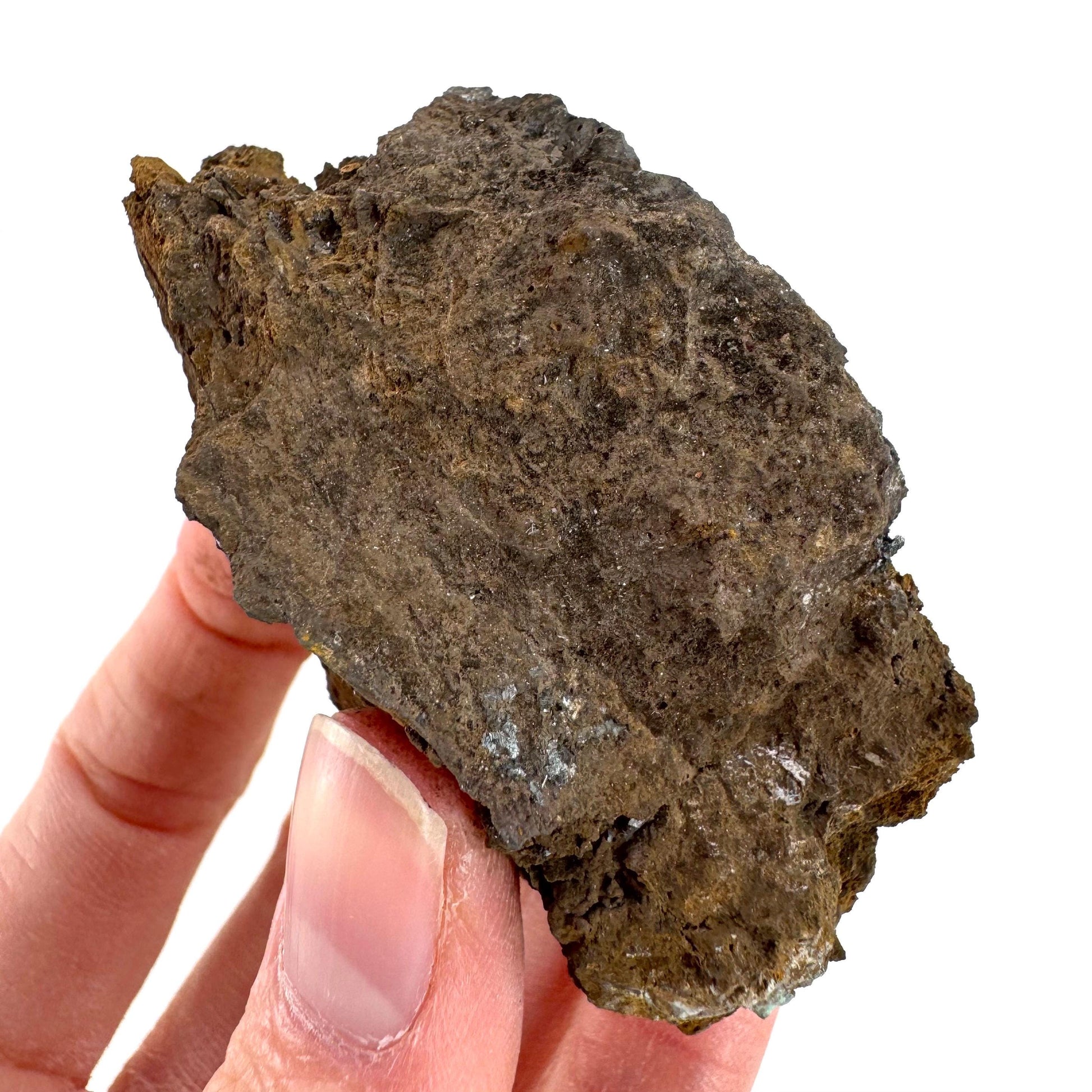 Pyrolusite | Metallic Crystal, Mineral Specimen from Tasmania, Australia
