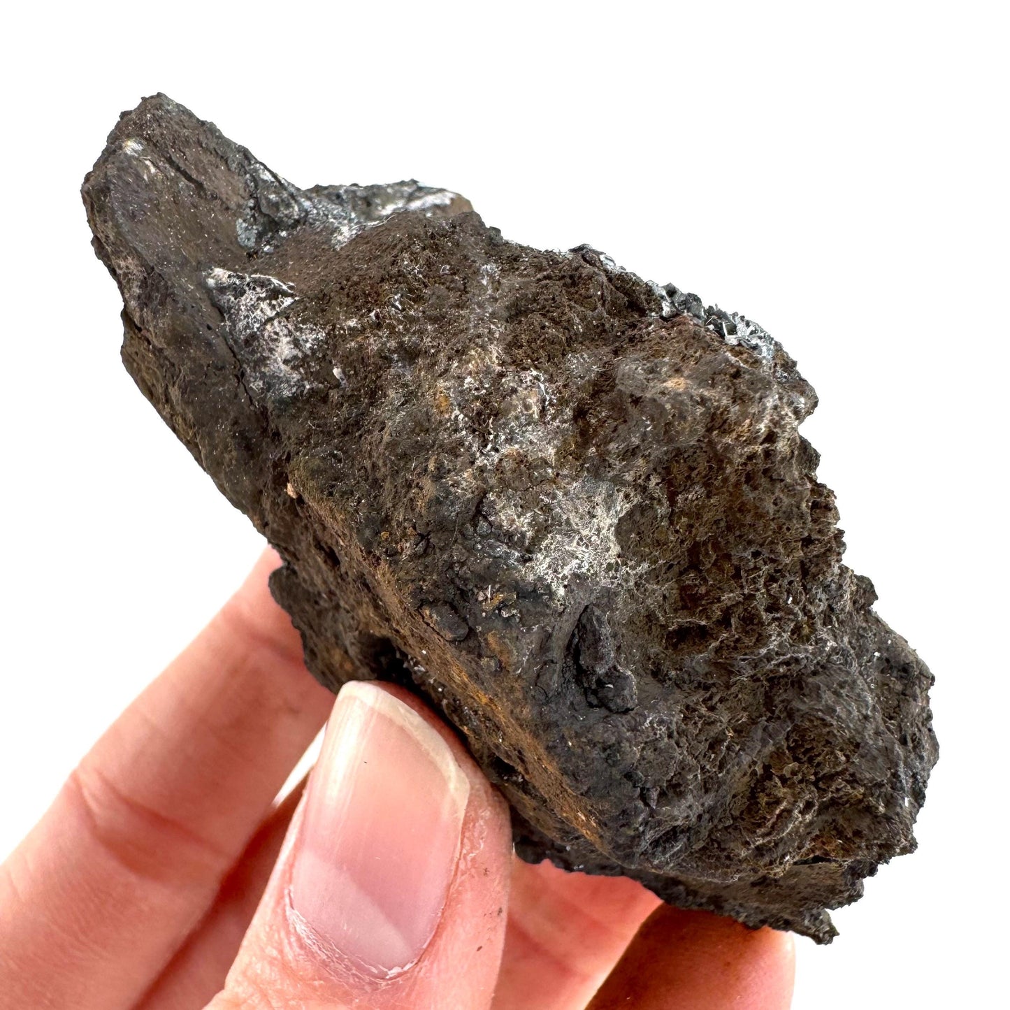 Pyrolusite | Metallic Crystal, Mineral Specimen from Tasmania, Australia