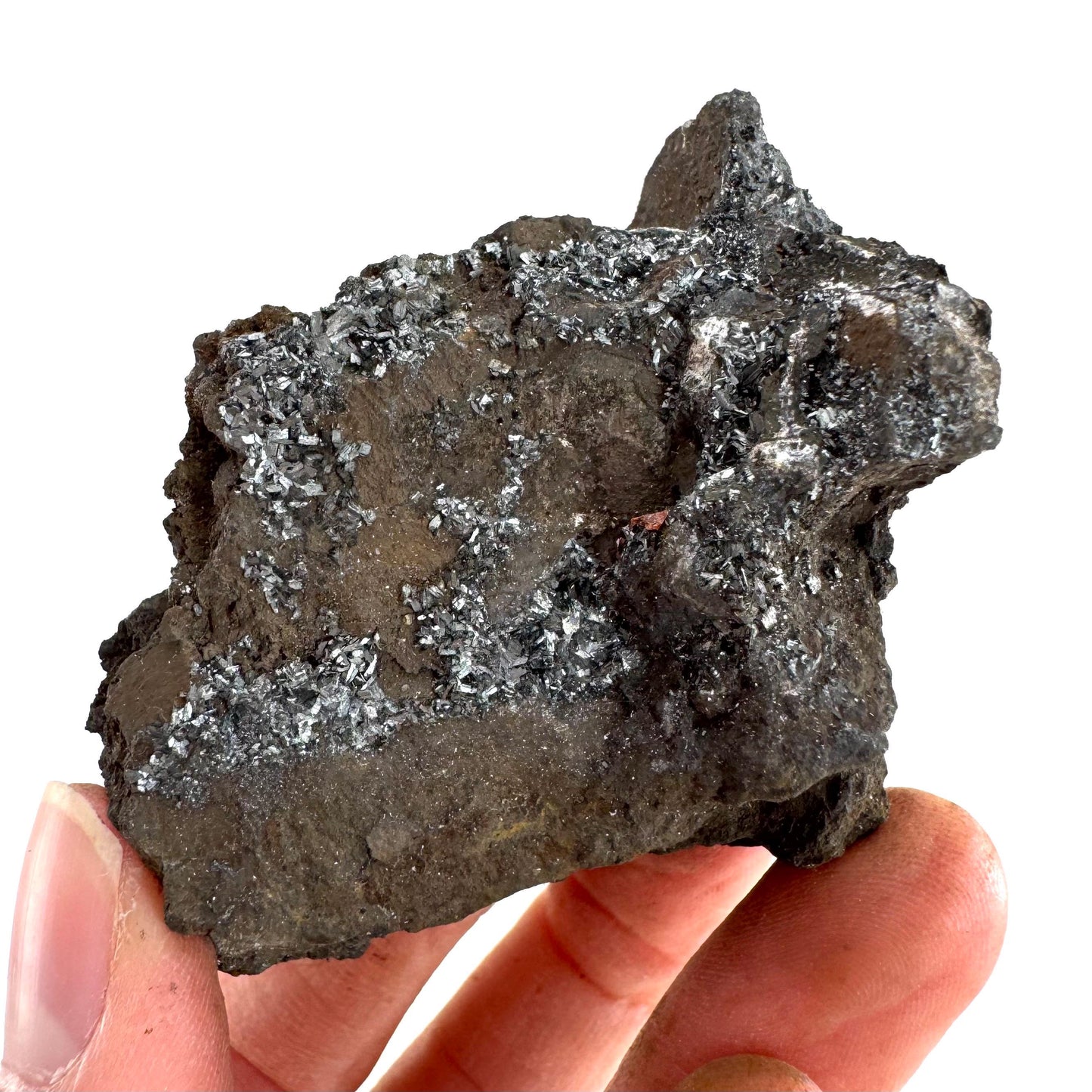 Pyrolusite | Metallic Crystal, Mineral Specimen from Tasmania, Australia