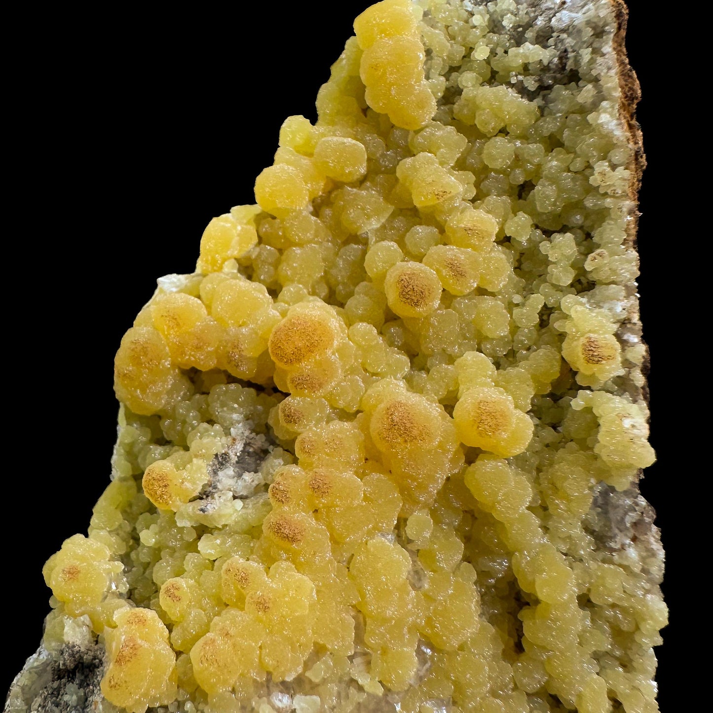 Mimetite | Yellow Crystal, Botryoidal Mineral Specimen from Mexico