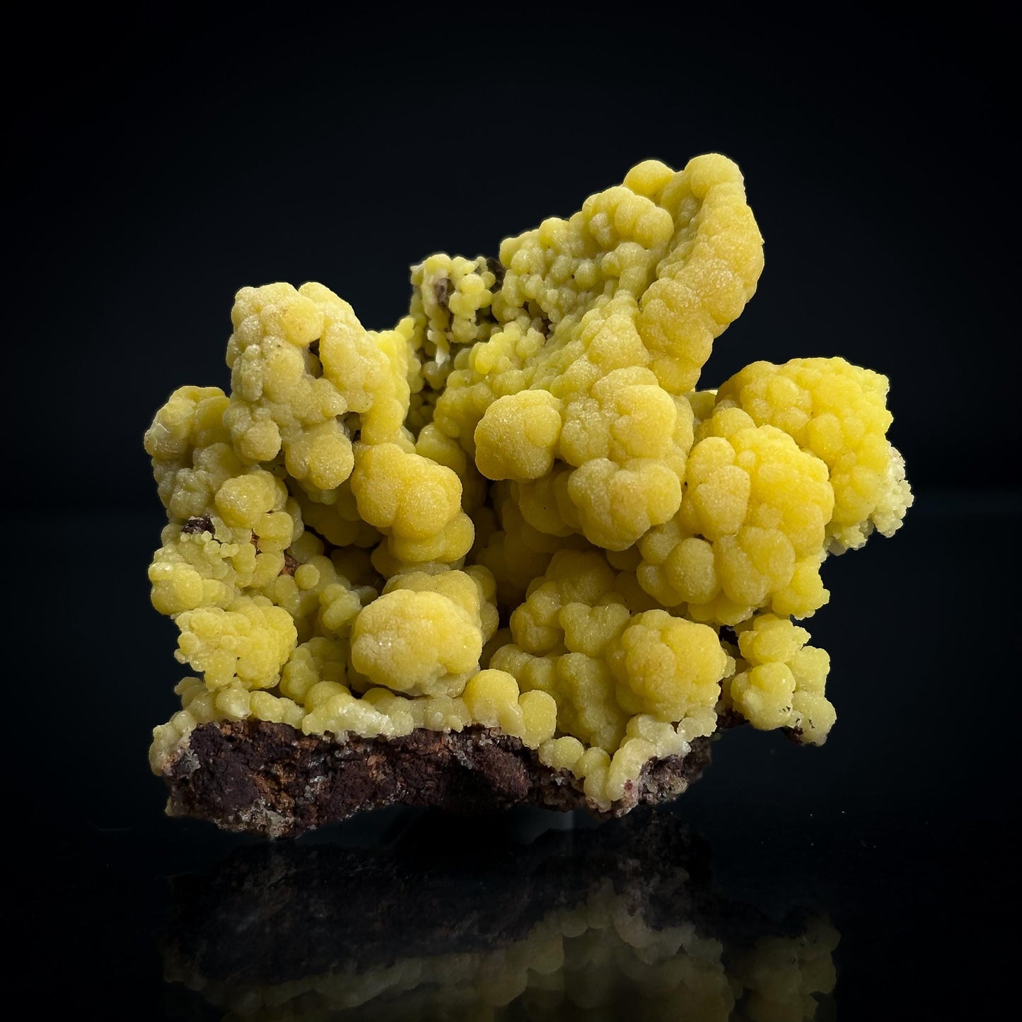 Mimetite | Yellow Crystal, Botryoidal Mineral Specimen from Mexico
