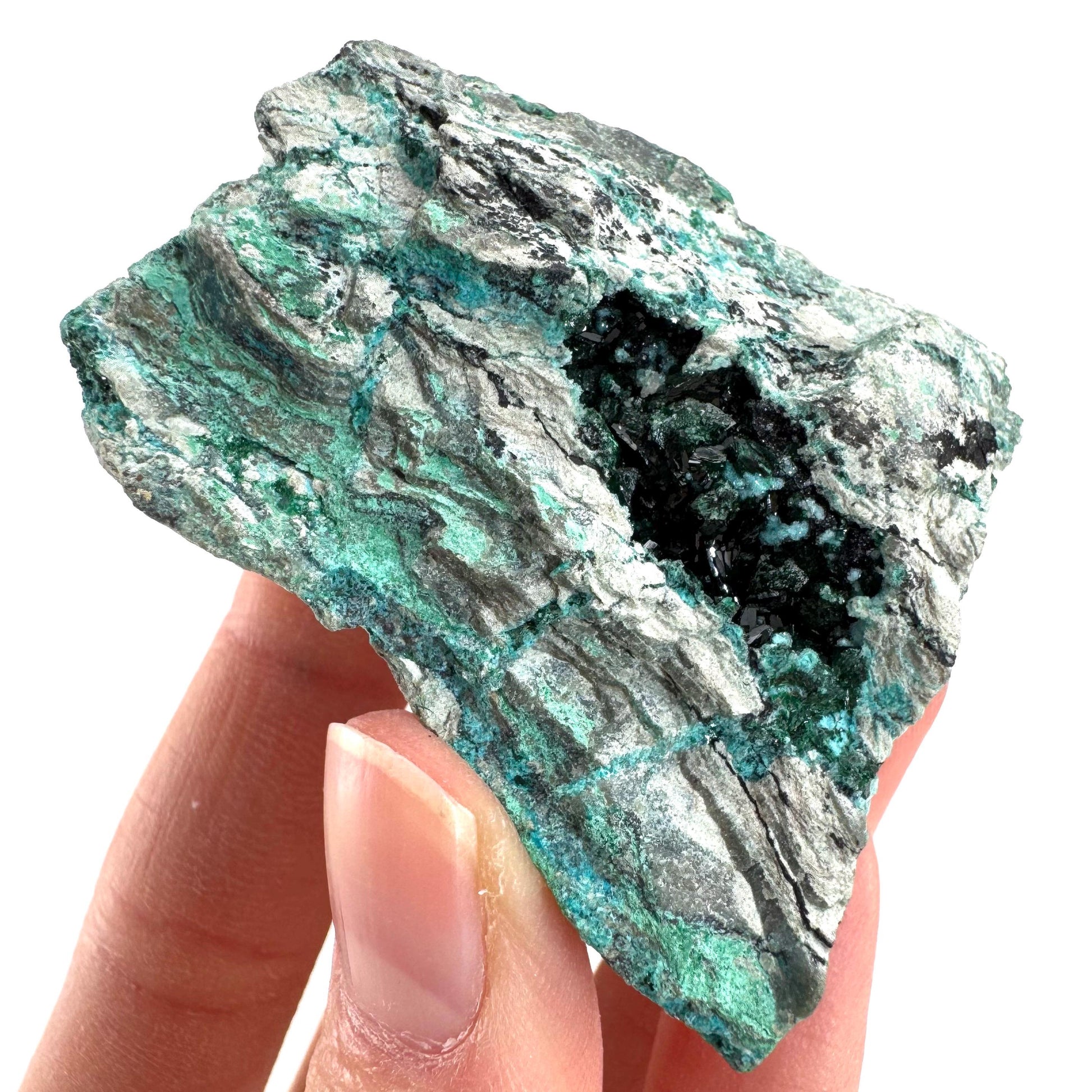 Chrysocolla w/ Malachite | blue crystal, mineral specimen from DR Congo