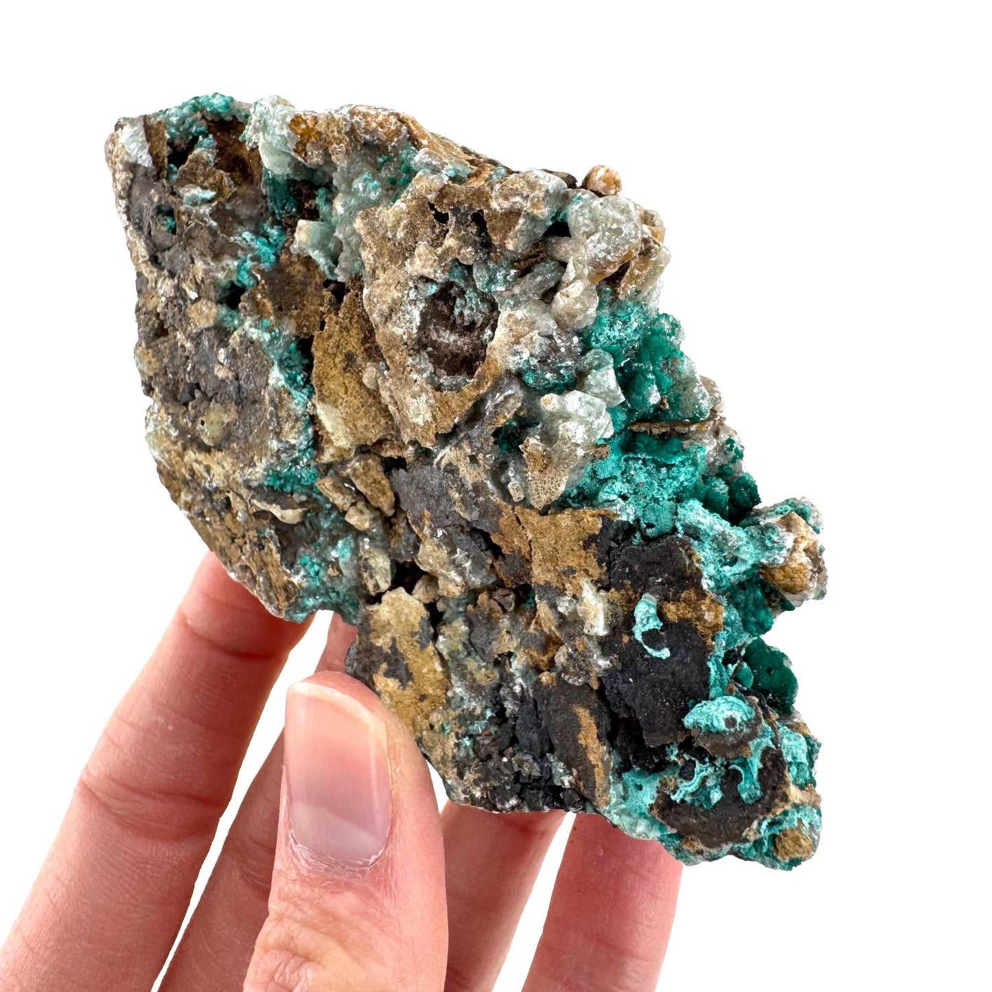 Chrysocolla w/ Malachite on Barite | blue crystal, mineral specimen from DR Congo