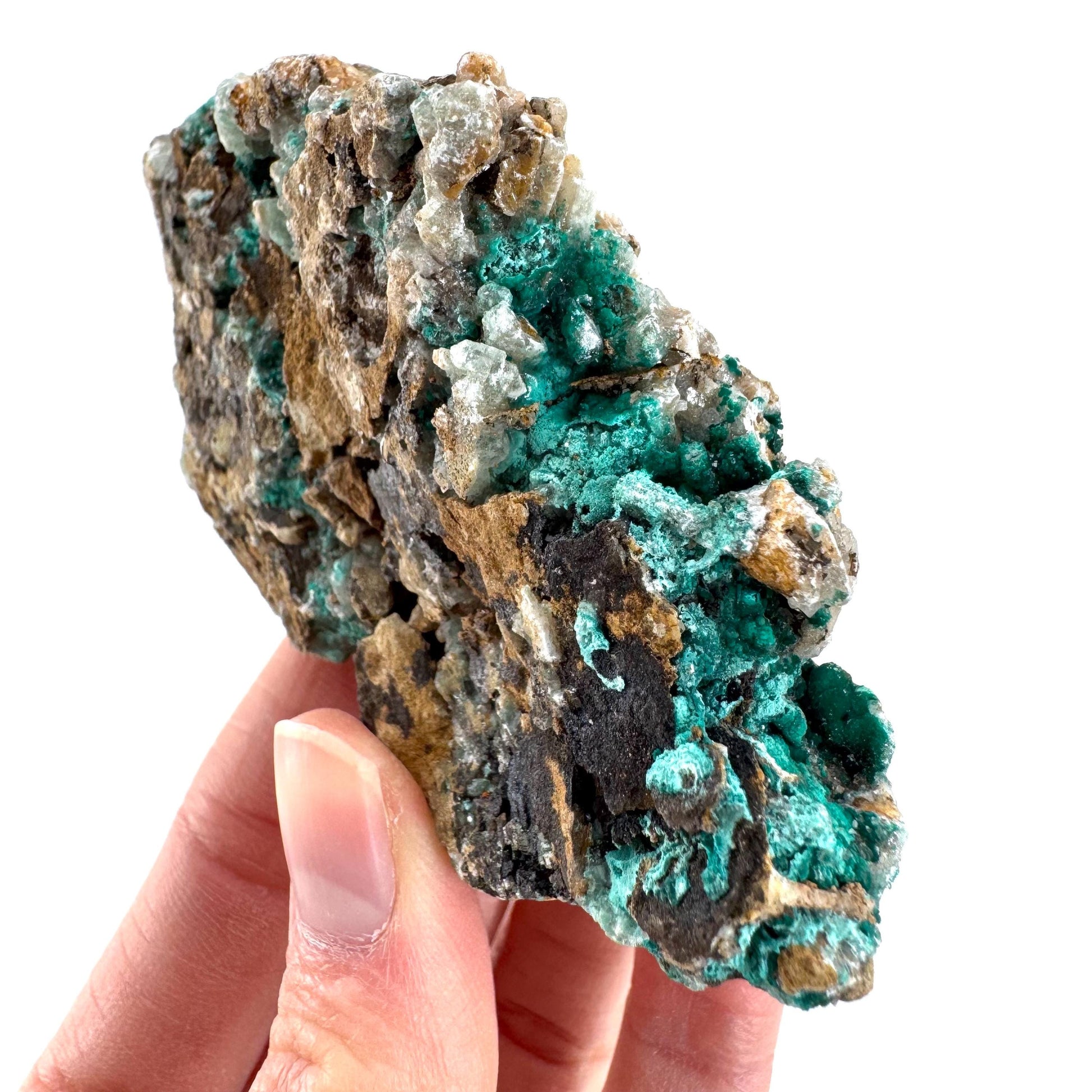 Chrysocolla w/ Malachite on Barite | blue crystal, mineral specimen from DR Congo