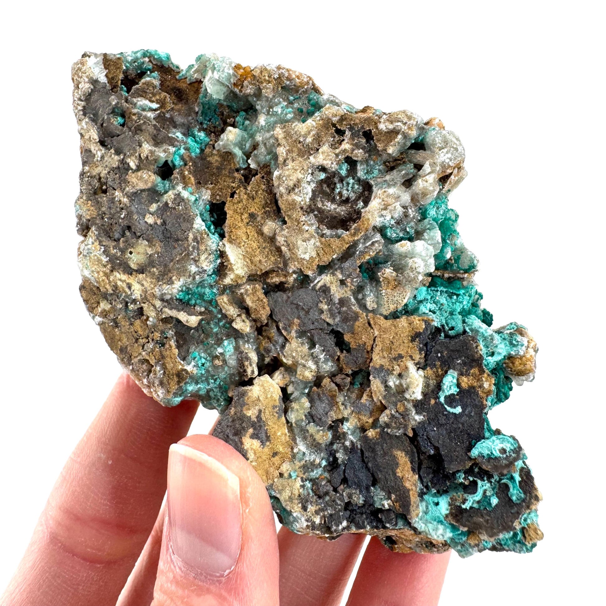 Chrysocolla w/ Malachite on Barite | blue crystal, mineral specimen from DR Congo