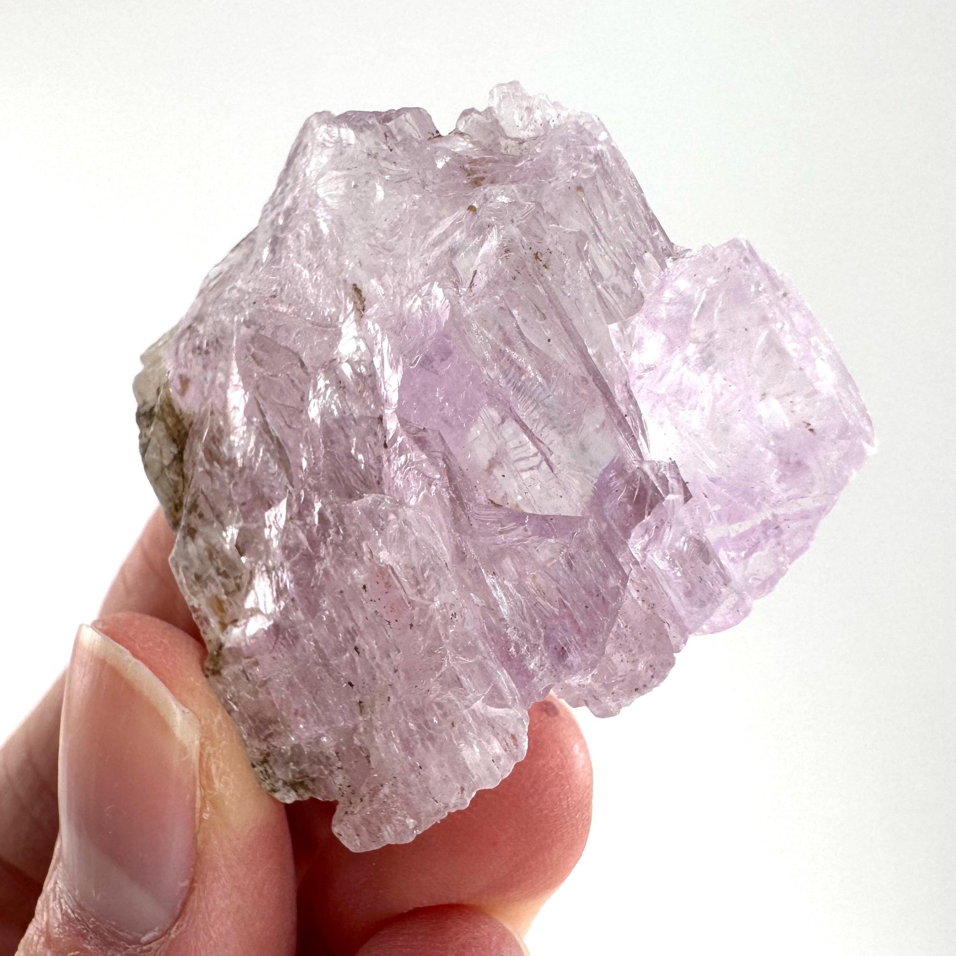 Lavender Kunzite Crystal | Mineral Specimen from Pakistan