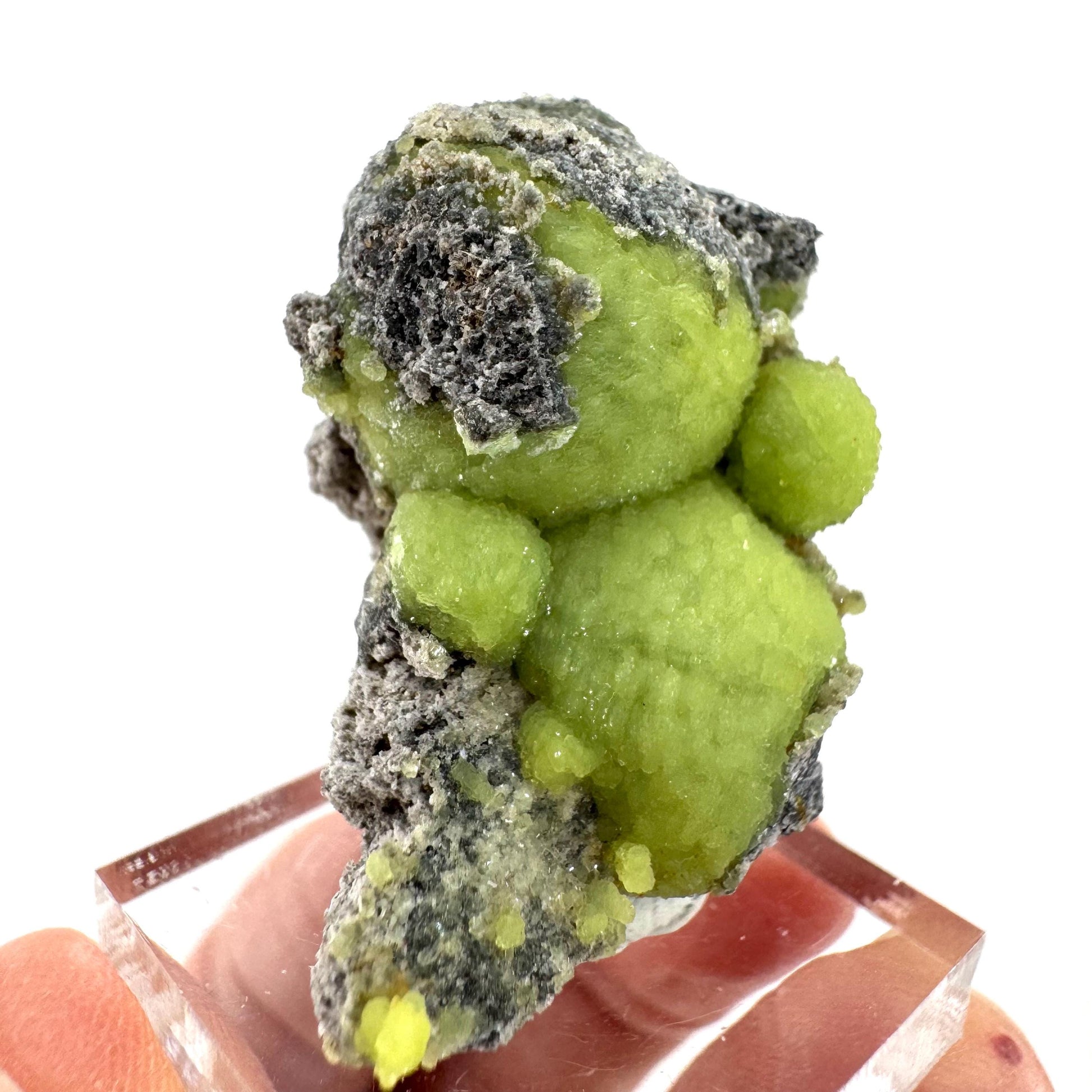 Wavellite (Arkansas, USA) | green crystal cluster, mineral specimen