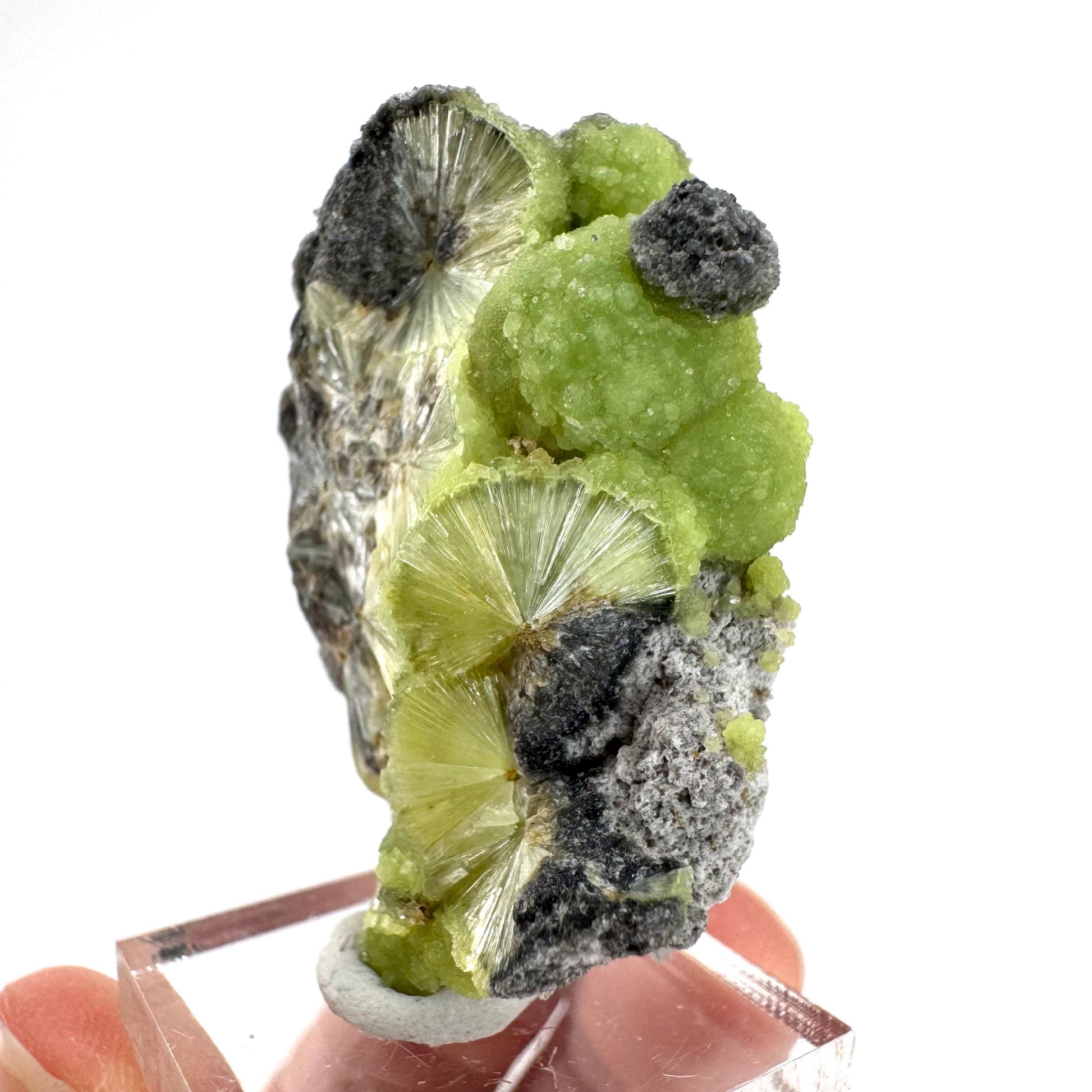 Wavellite (Arkansas, USA) | green crystal cluster, mineral specimen