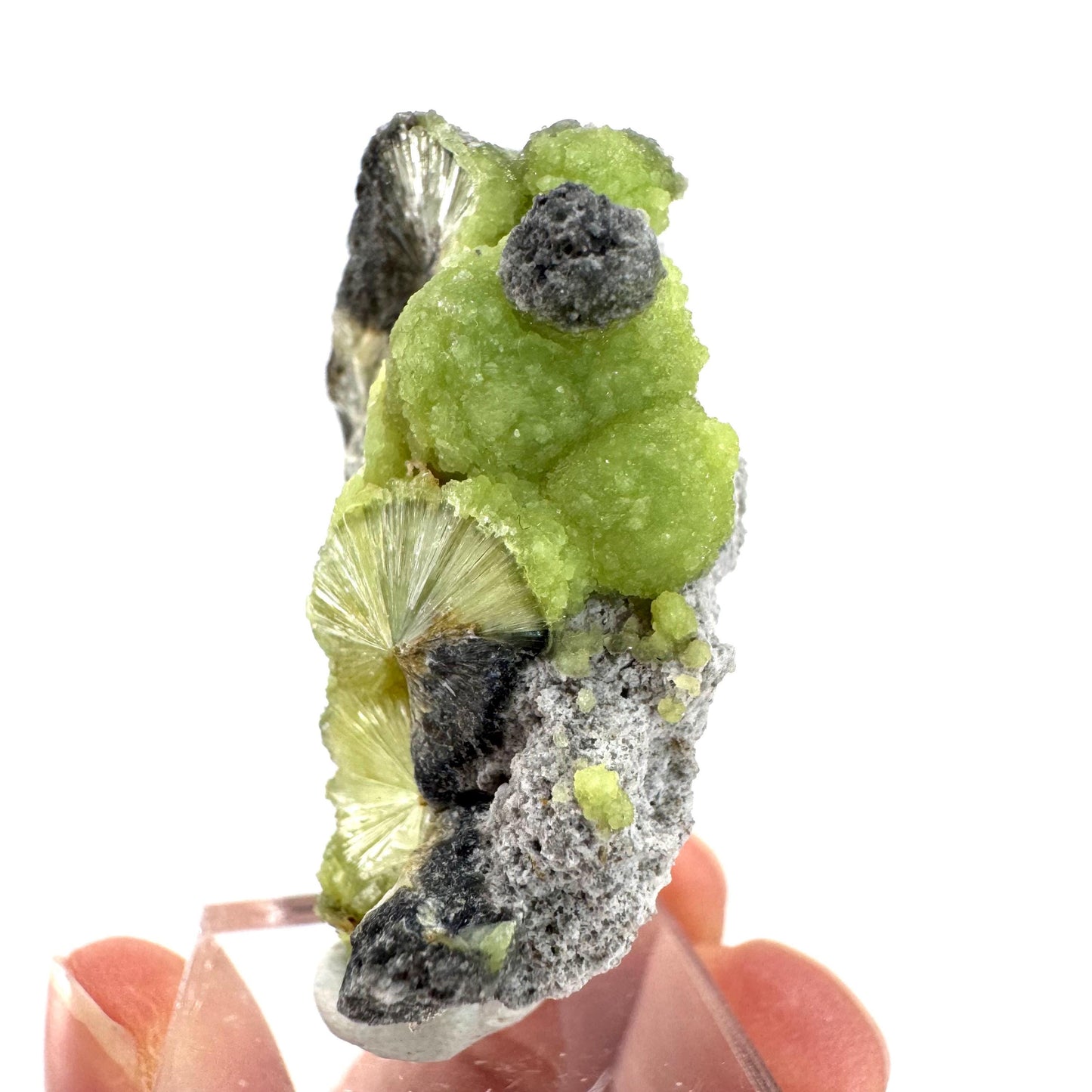 Wavellite (Arkansas, USA) | green crystal cluster, mineral specimen