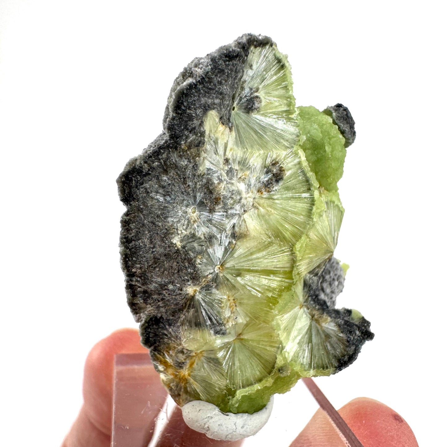 Wavellite (Arkansas, USA) | green crystal cluster, mineral specimen