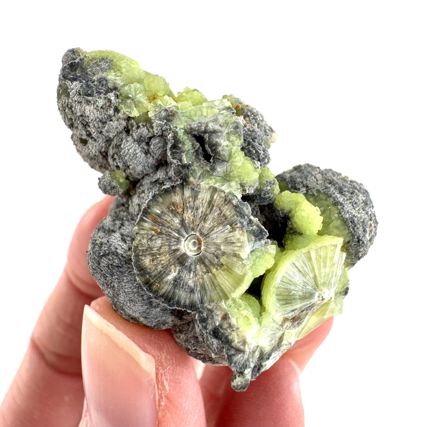 Wavellite (Arkansas, USA) | green crystal cluster, mineral specimen