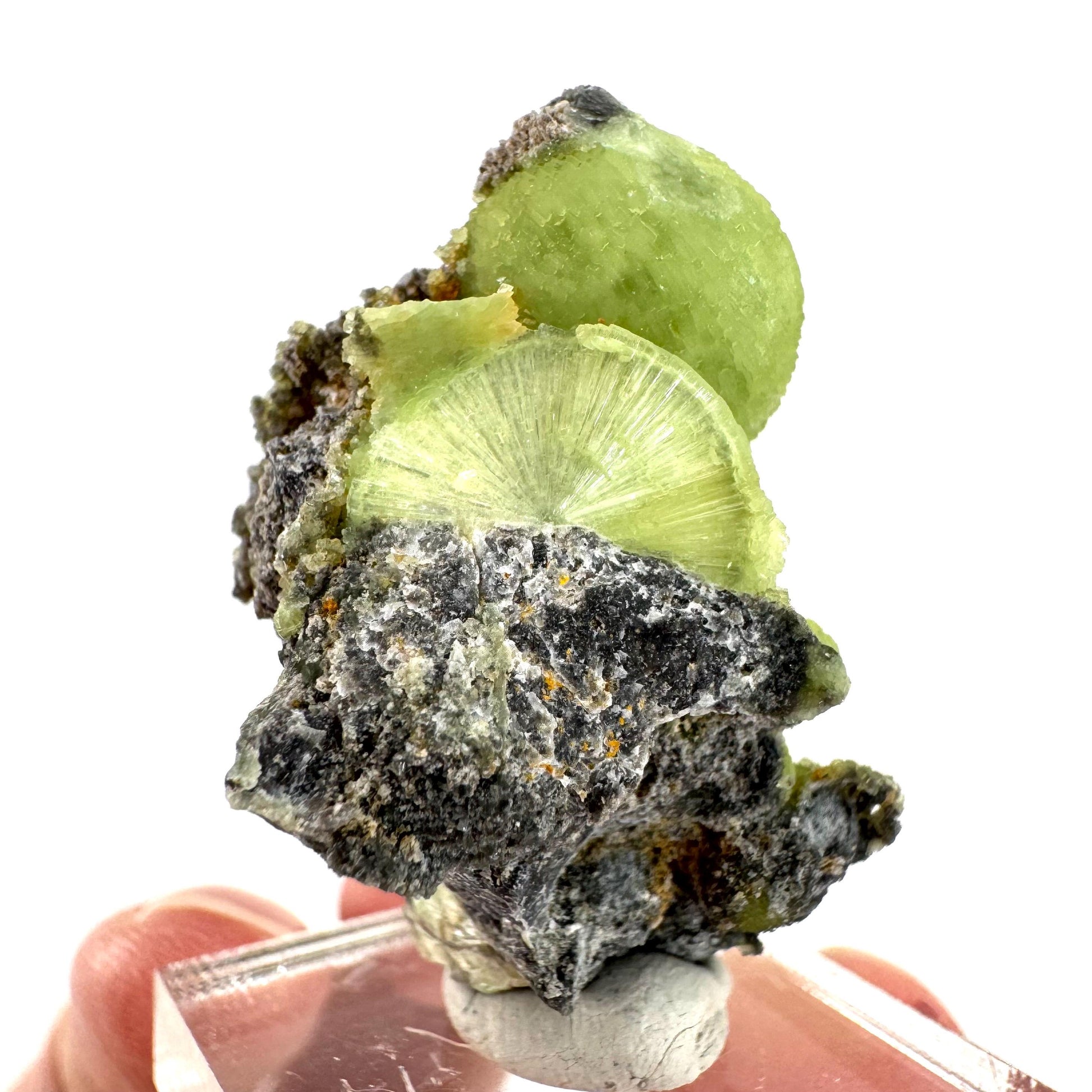 Wavellite (Arkansas, USA) | green crystal cluster, mineral specimen