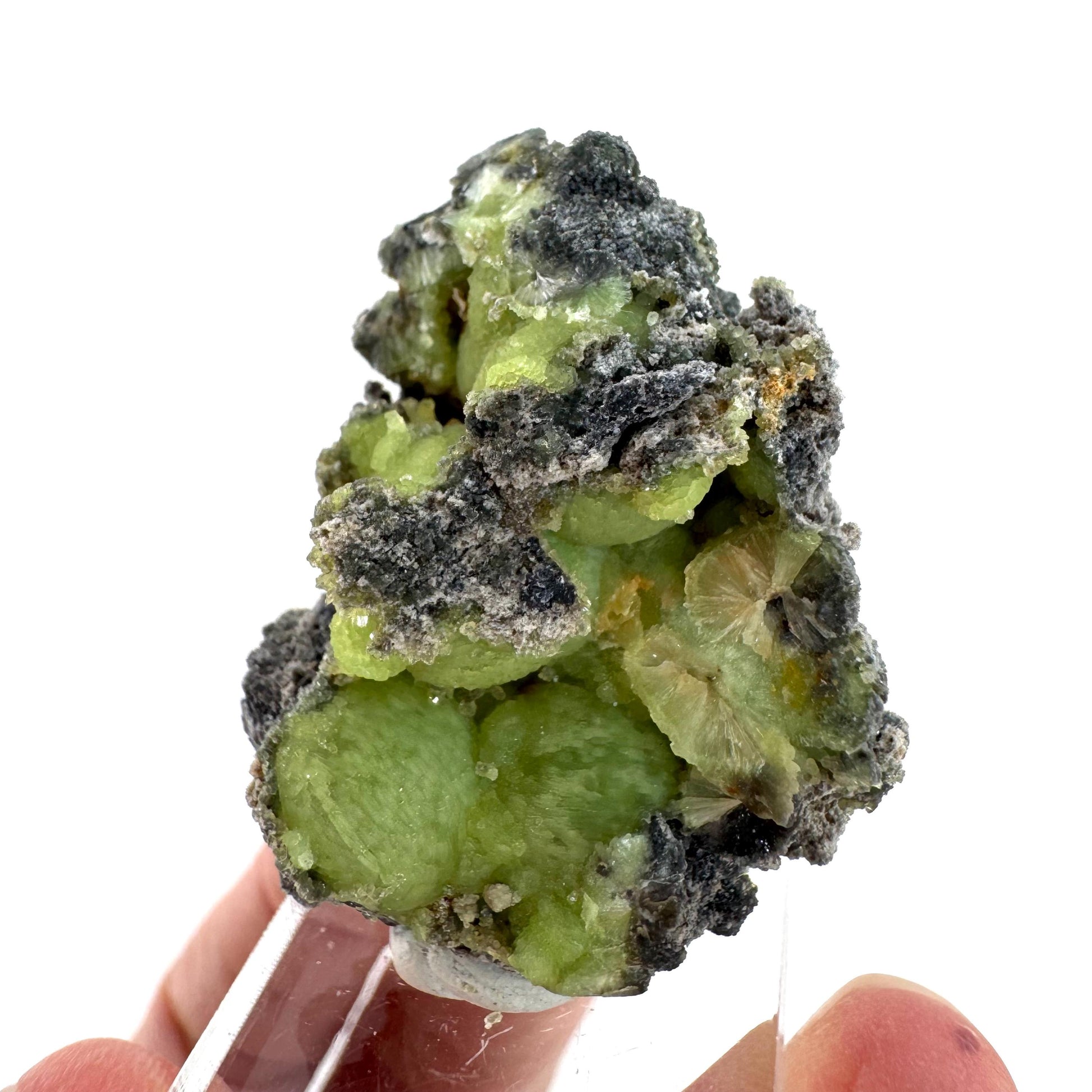 Wavellite (Arkansas, USA) | green crystal cluster, mineral specimen