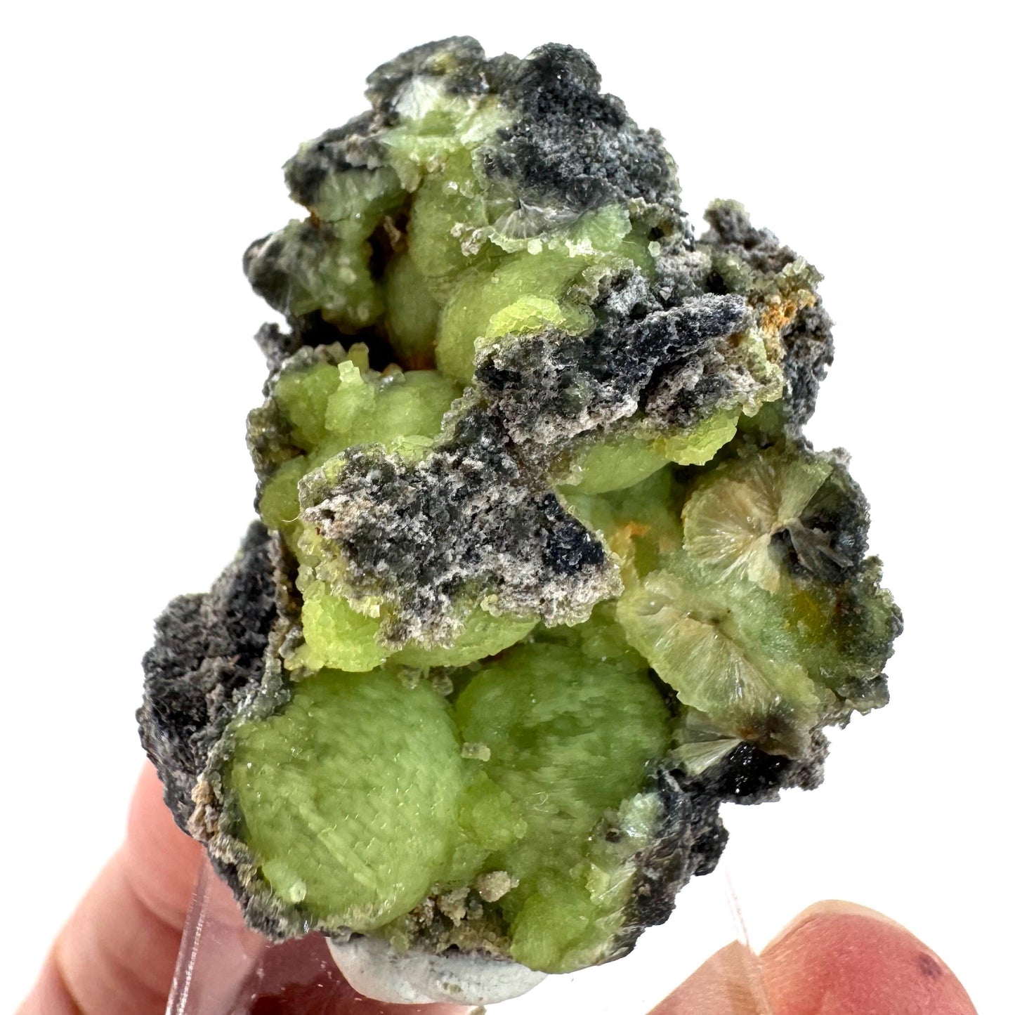 Wavellite (Arkansas, USA) | green crystal cluster, mineral specimen