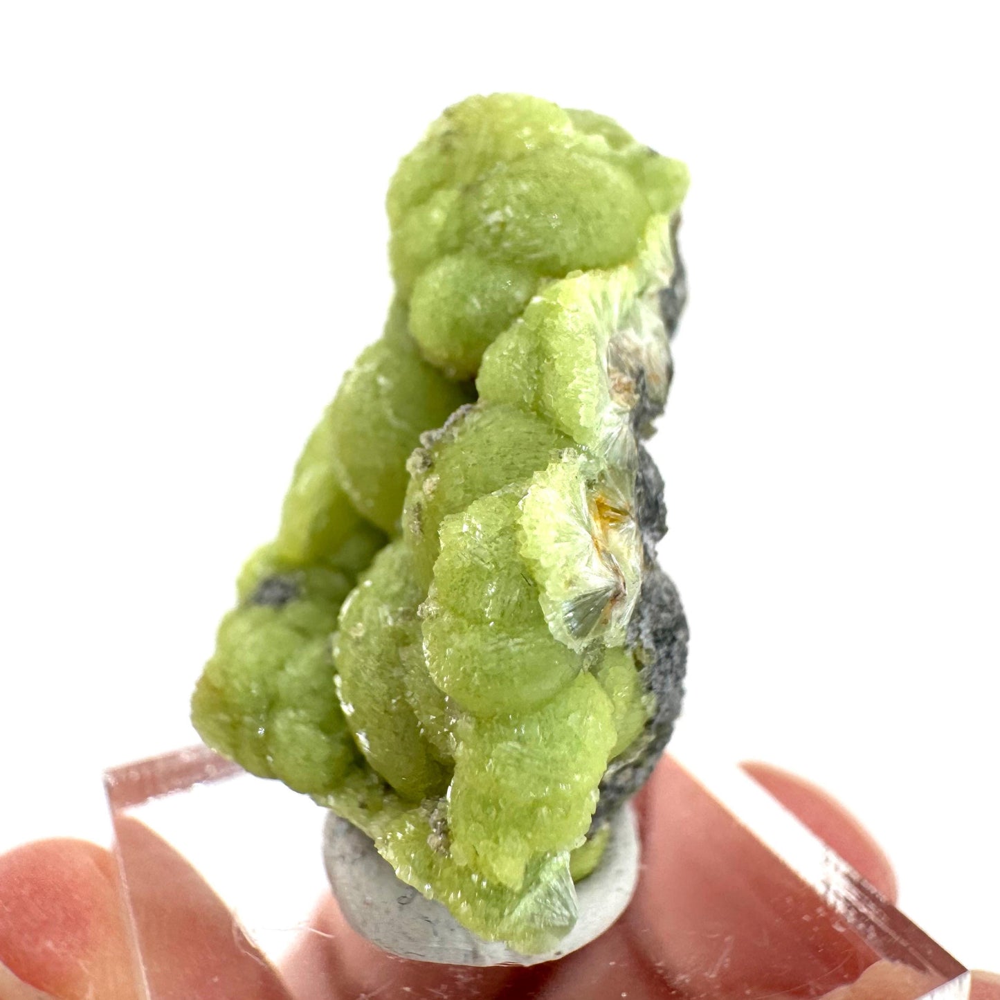 Wavellite (Arkansas, USA) | green crystal cluster, mineral specimen