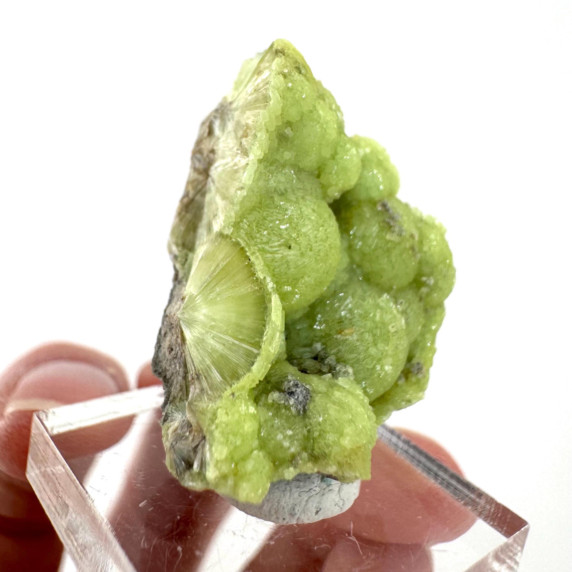 Wavellite (Arkansas, USA) | green crystal cluster, mineral specimen