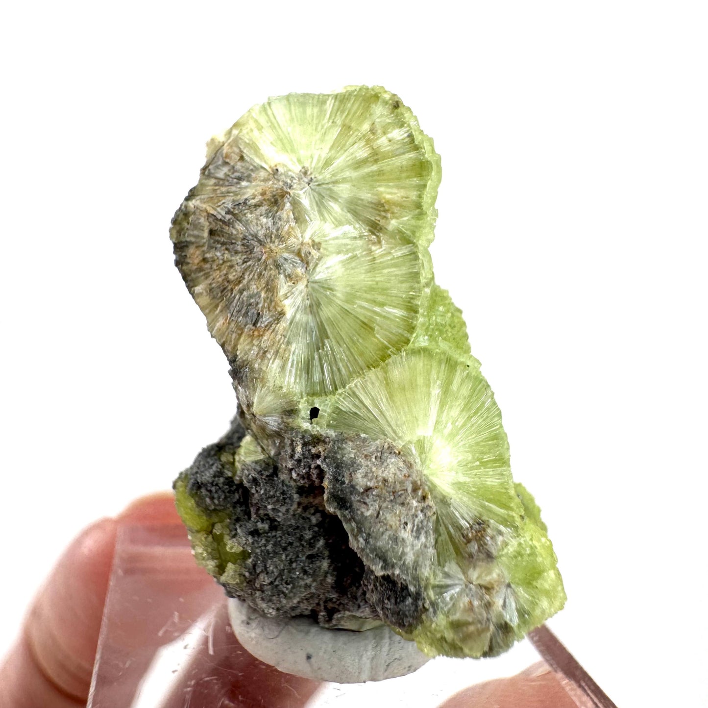 Wavellite (Arkansas, USA) | green crystal cluster, mineral specimen