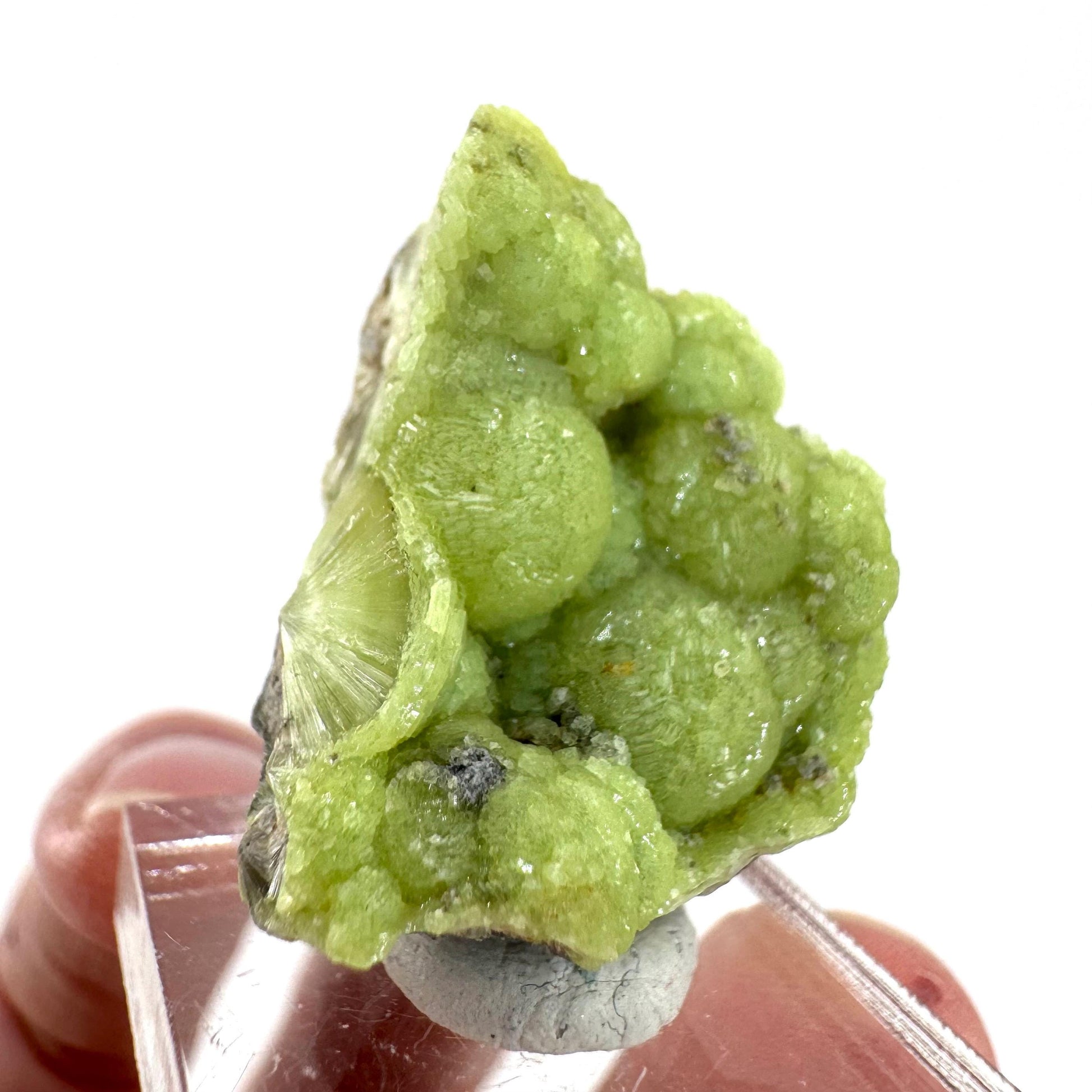 Wavellite (Arkansas, USA) | green crystal cluster, mineral specimen