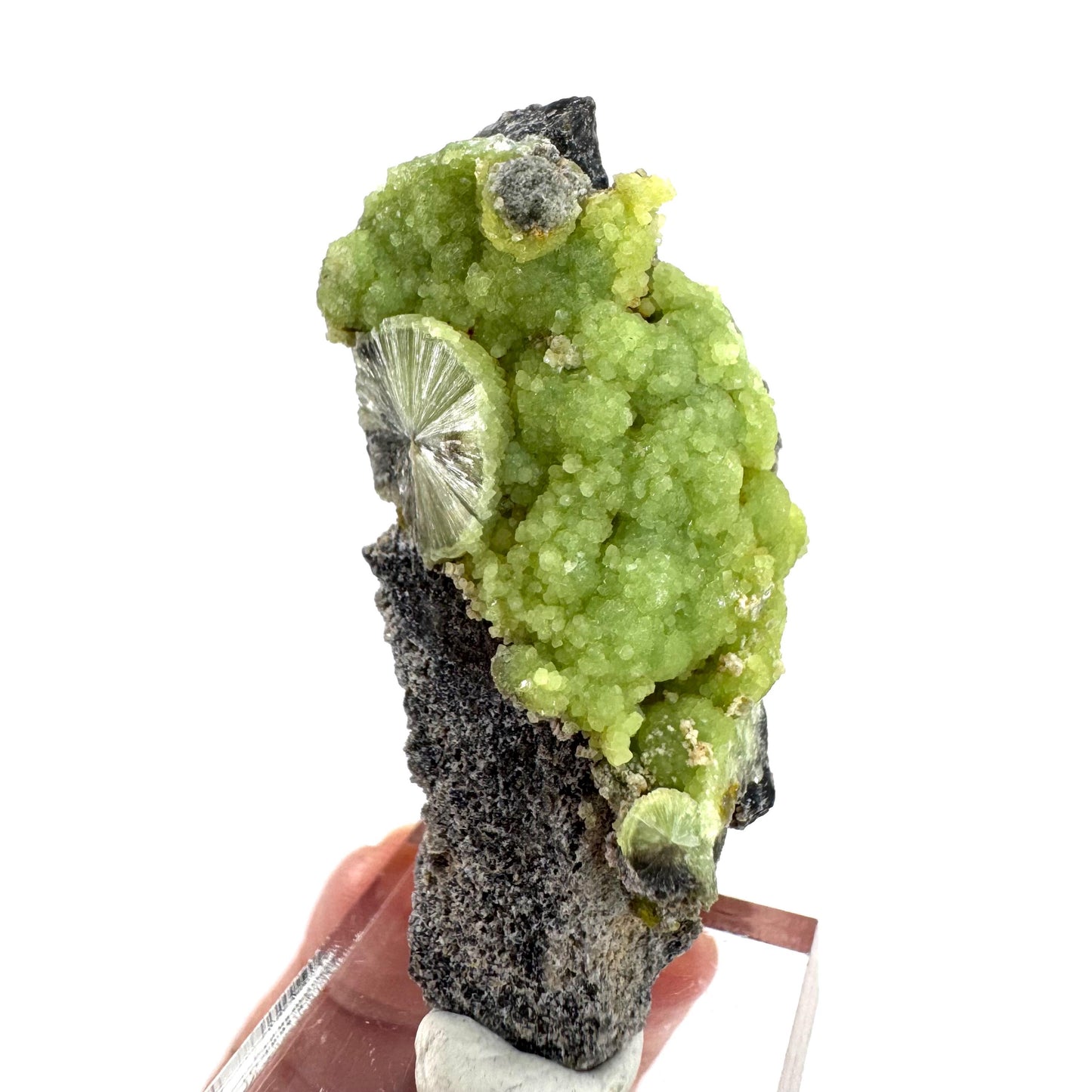 Wavellite (Arkansas, USA) | green crystal cluster, mineral specimen