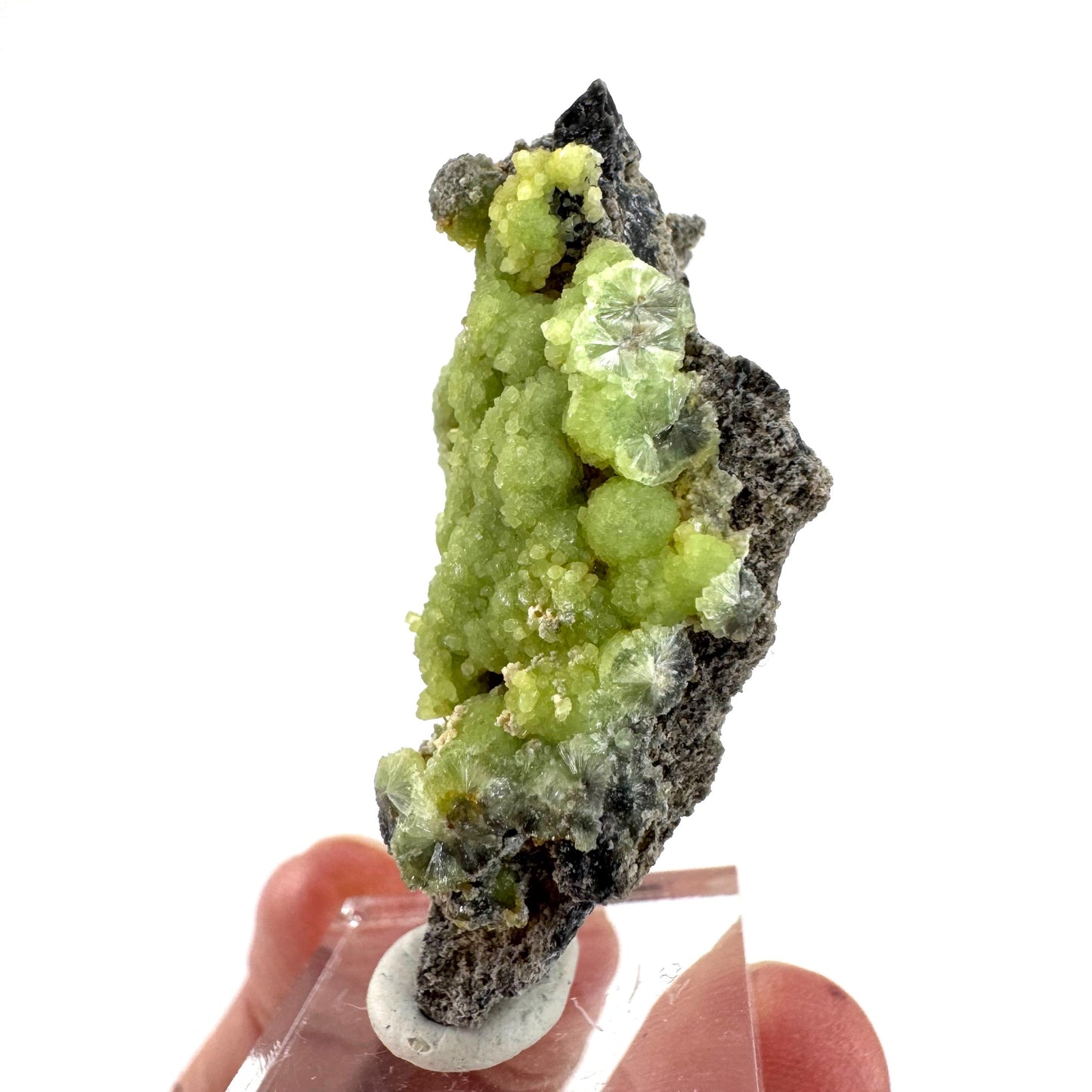 Wavellite (Arkansas, USA) | green crystal cluster, mineral specimen