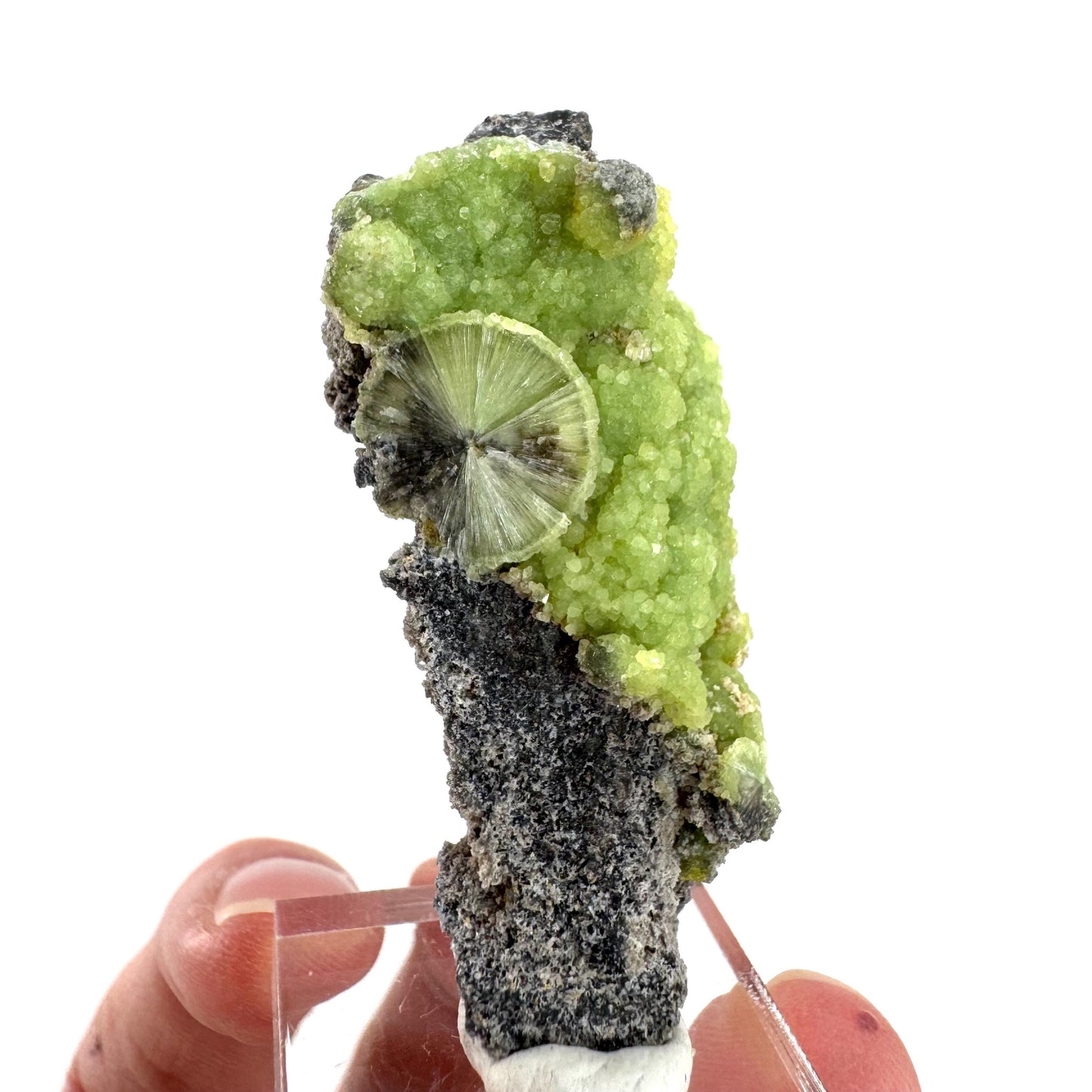 Wavellite (Arkansas, USA) | green crystal cluster, mineral specimen
