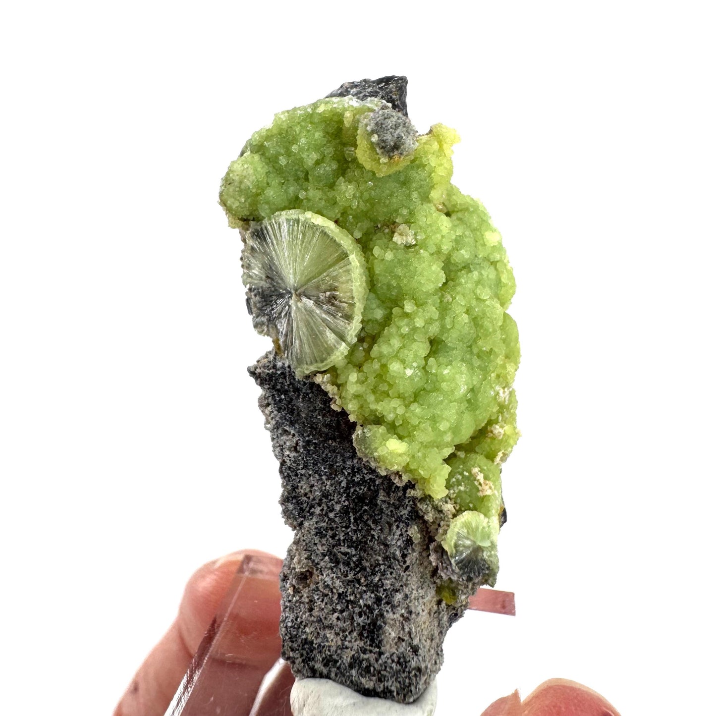 Wavellite (Arkansas, USA) | green crystal cluster, mineral specimen