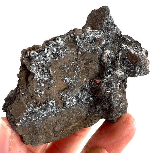 Pyrolusite | Metallic Crystal, Mineral Specimen from Tasmania, Australia