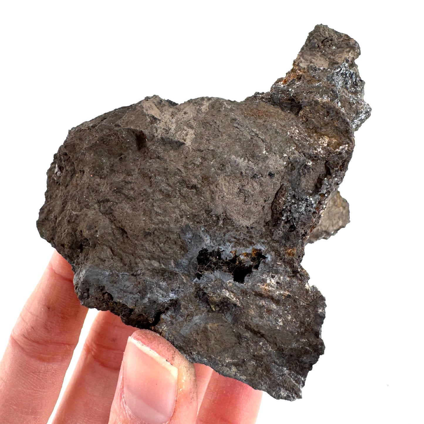 Pyrolusite | Metallic Crystal, Mineral Specimen from Tasmania, Australia