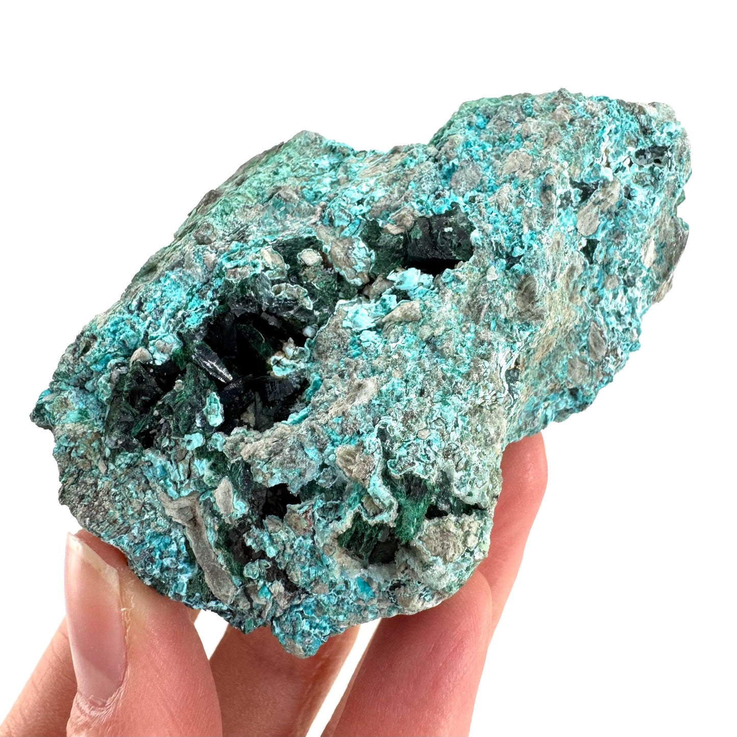 Chrysocolla w/ Malachite | blue crystal, mineral specimen from DR Congo