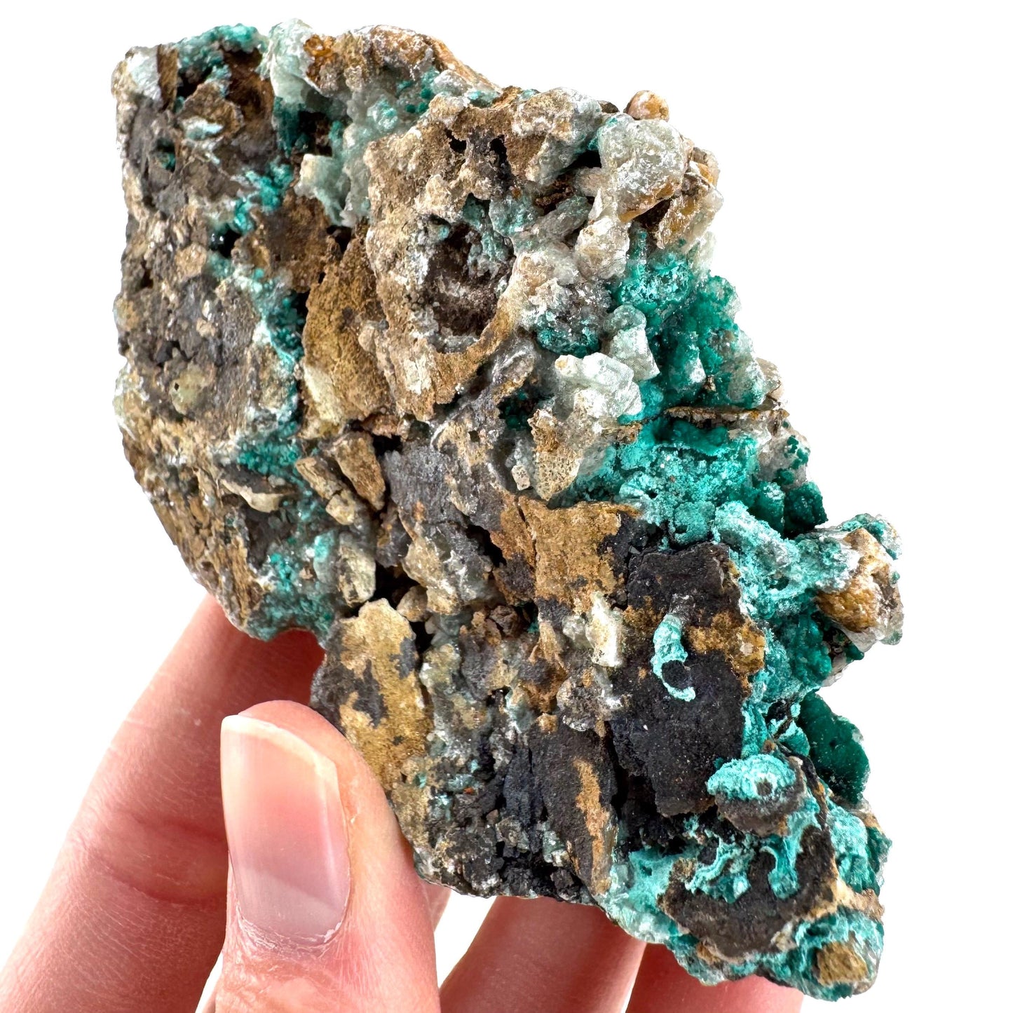 Chrysocolla w/ Malachite on Barite | blue crystal, mineral specimen from DR Congo