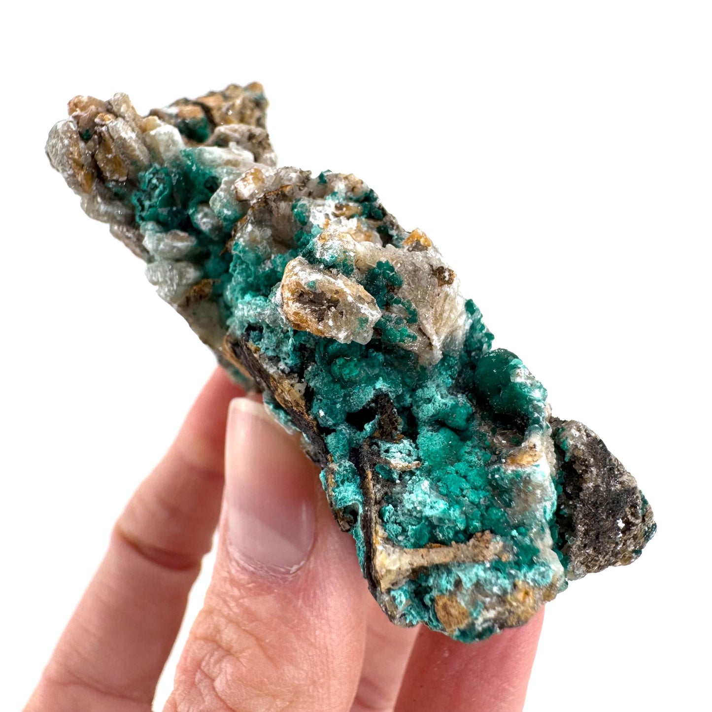 Chrysocolla w/ Malachite on Barite | blue crystal, mineral specimen from DR Congo