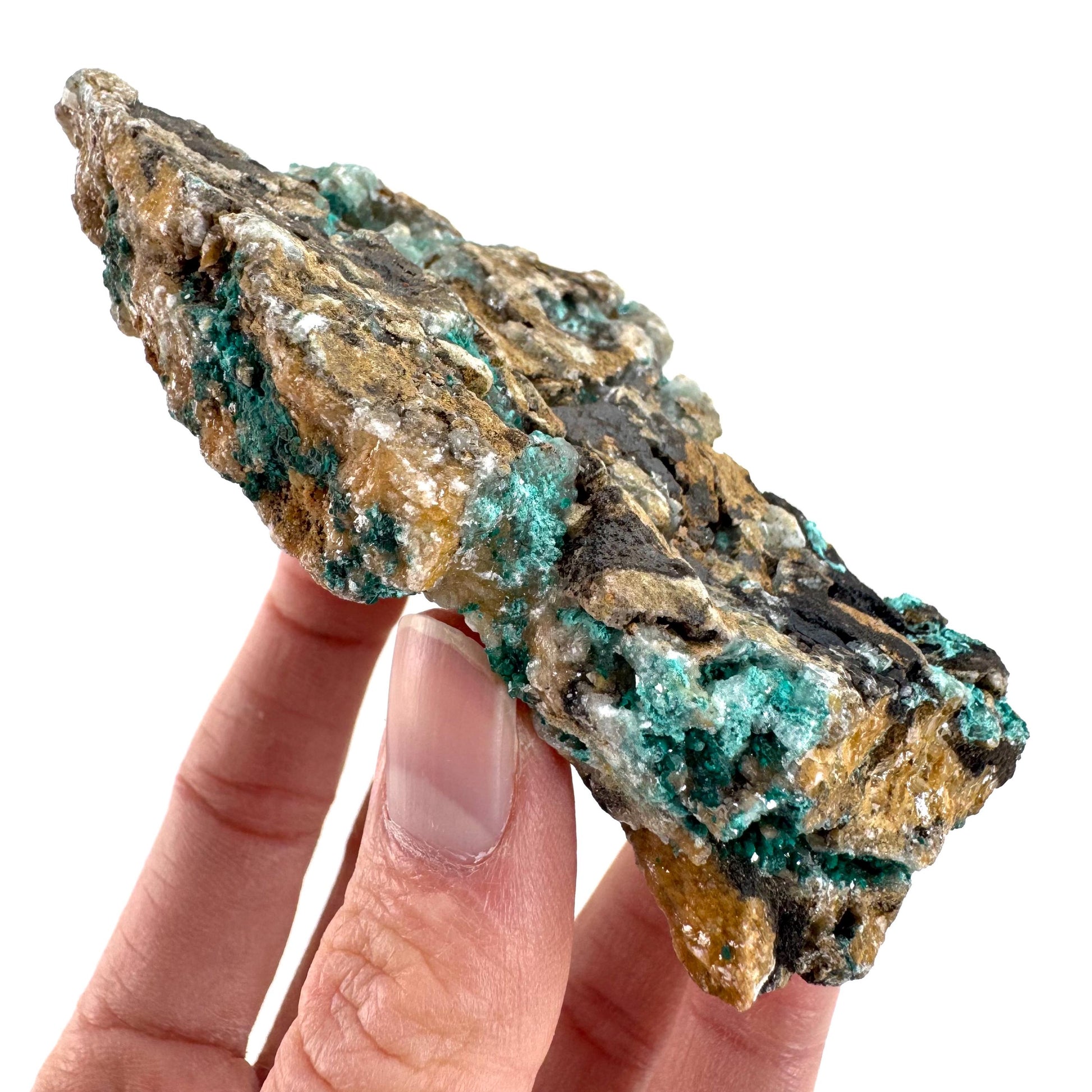 Chrysocolla w/ Malachite on Barite | blue crystal, mineral specimen from DR Congo