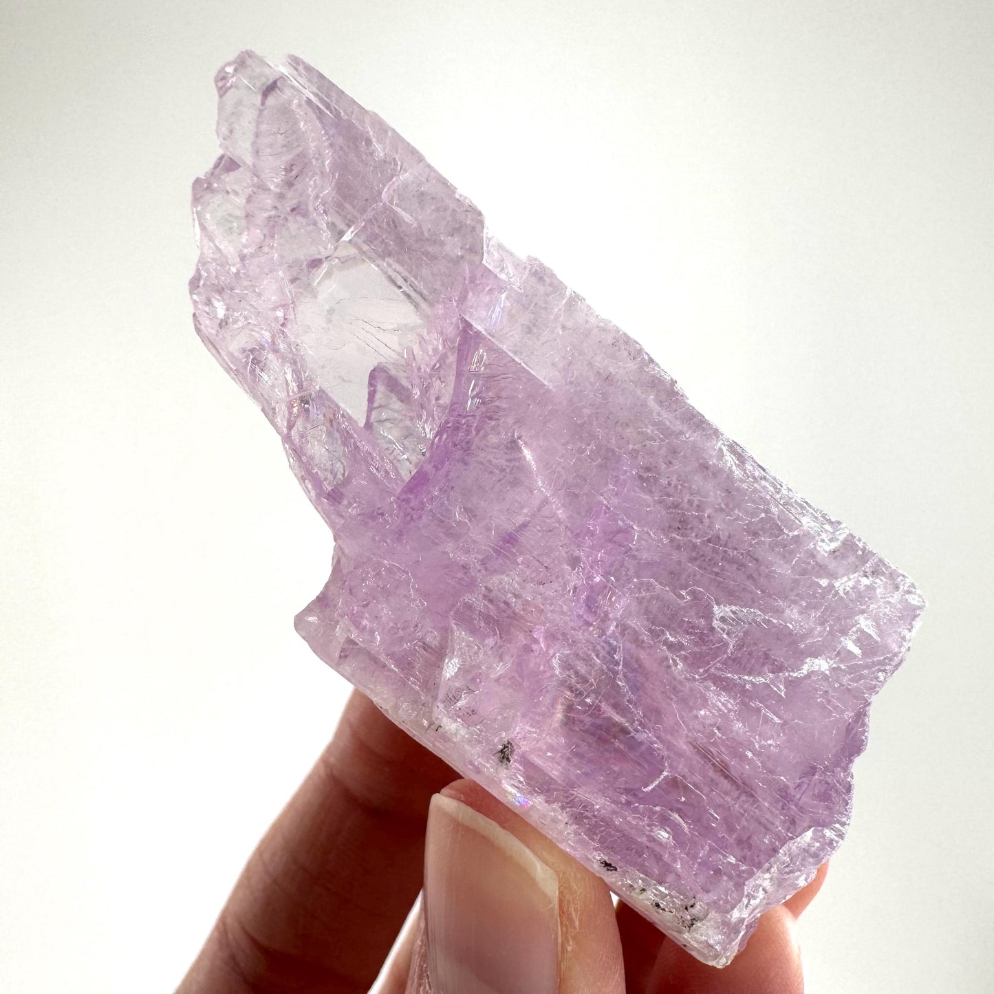 Lavender Kunzite Crystal | Mineral Specimen from Pakistan