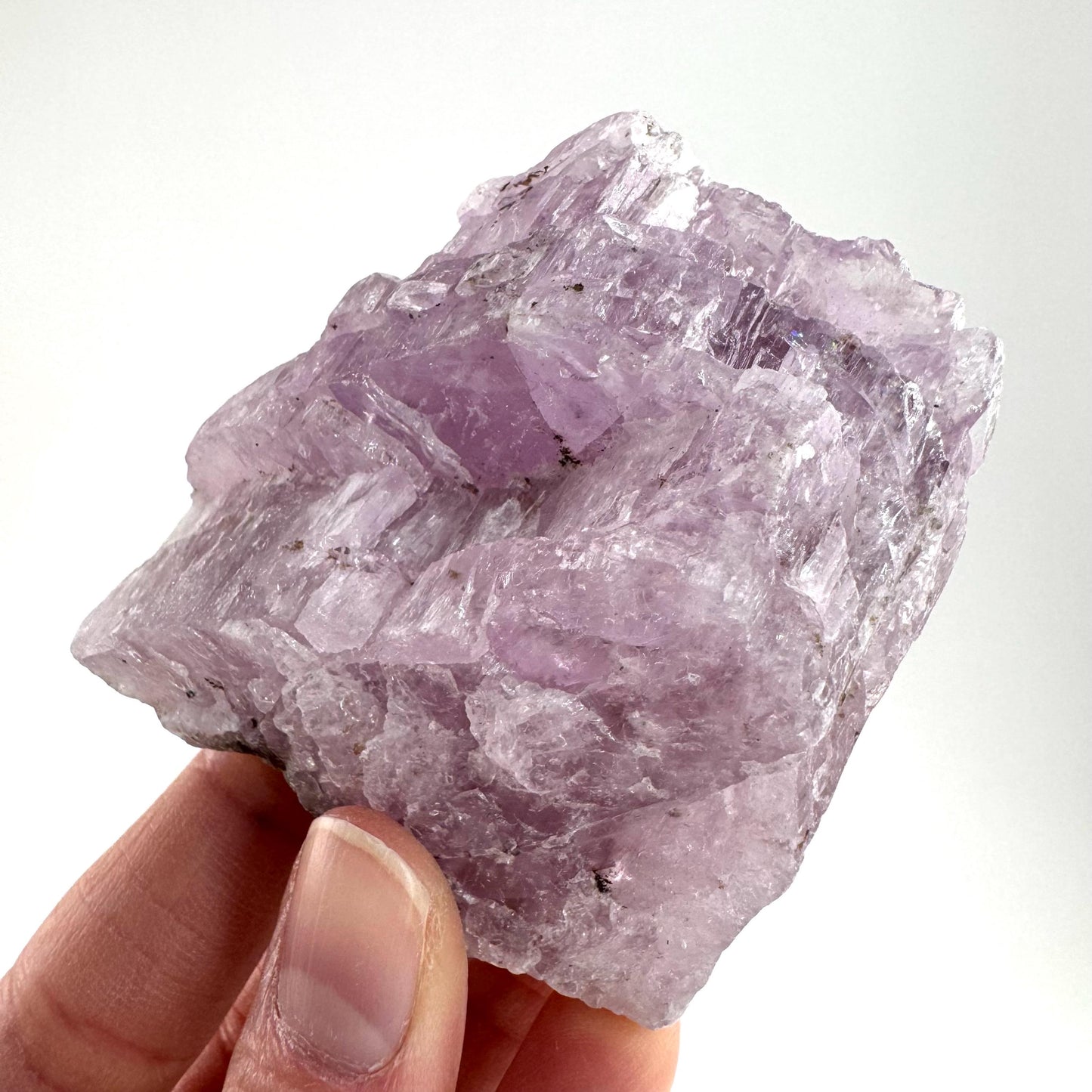 Lavender Kunzite Crystal | Mineral Specimen from Pakistan