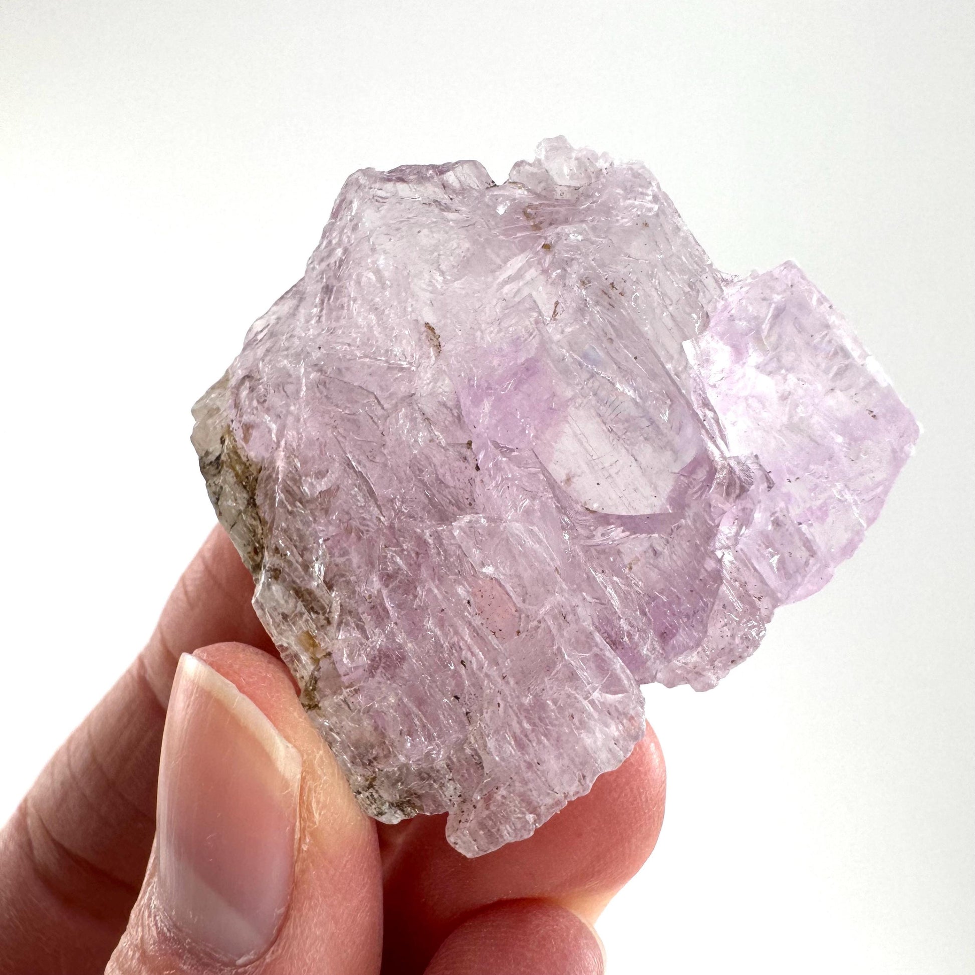 Lavender Kunzite Crystal | Mineral Specimen from Pakistan