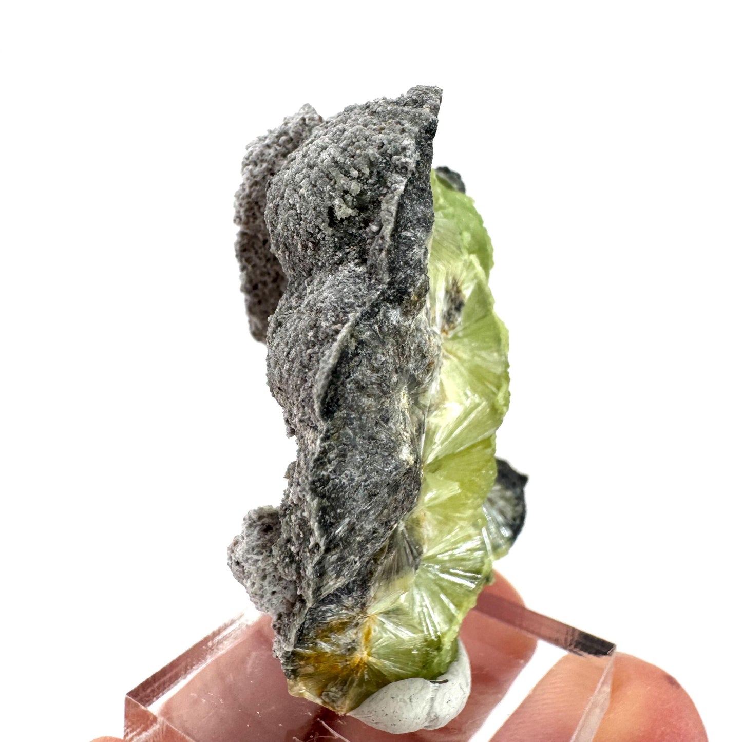 Wavellite (Arkansas, USA) | green crystal cluster, mineral specimen