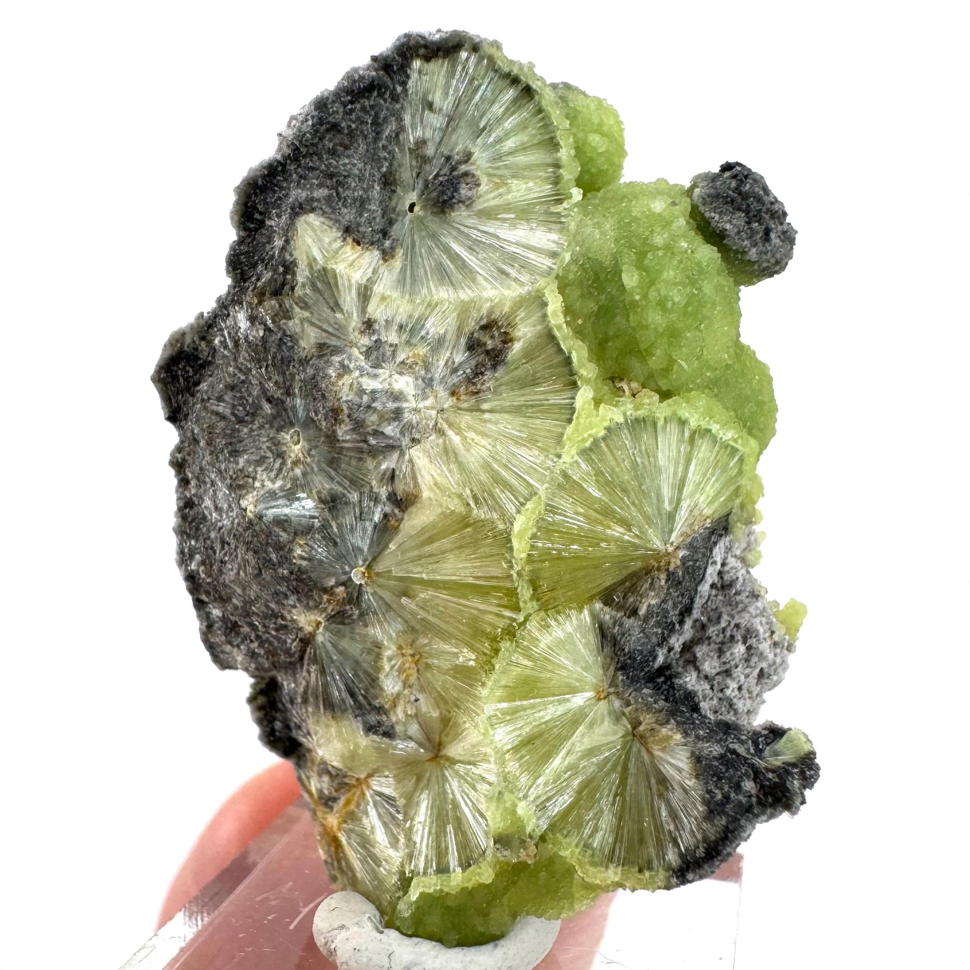 Wavellite (Arkansas, USA) | green crystal cluster, mineral specimen