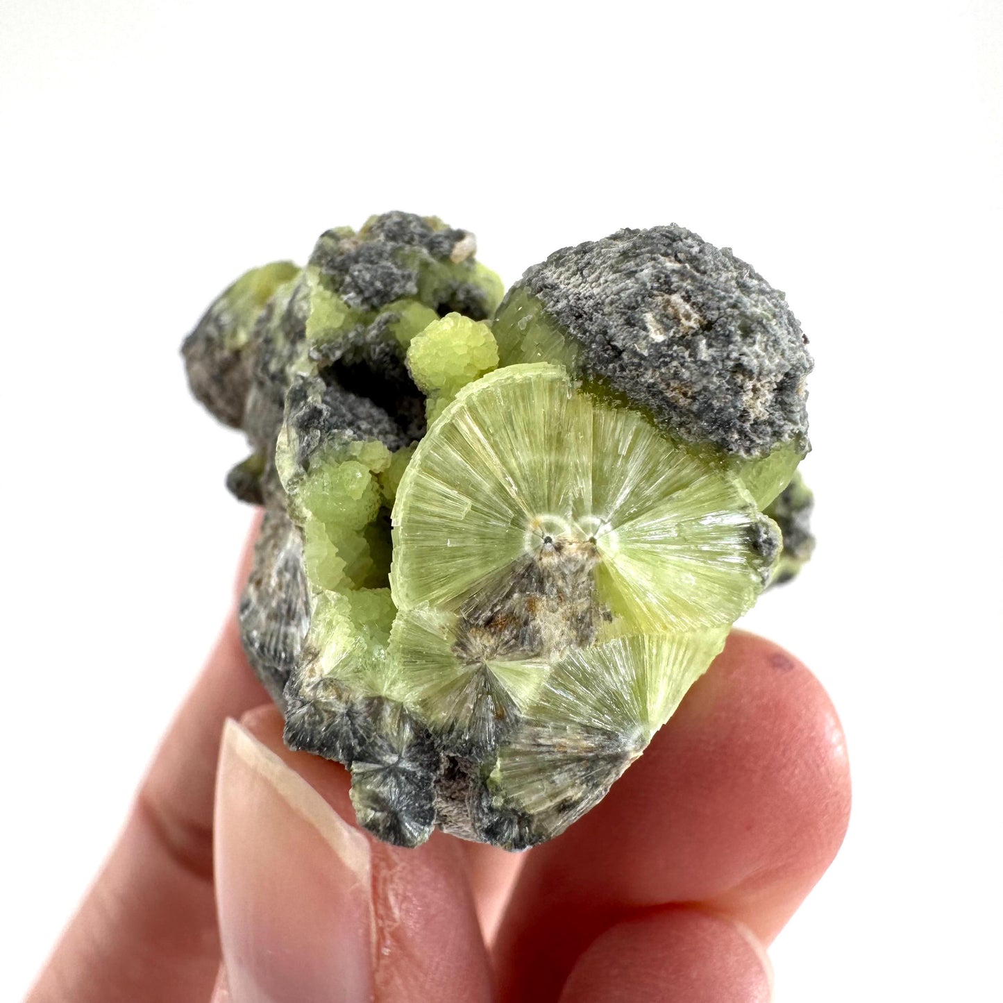 Wavellite (Arkansas, USA) | green crystal cluster, mineral specimen