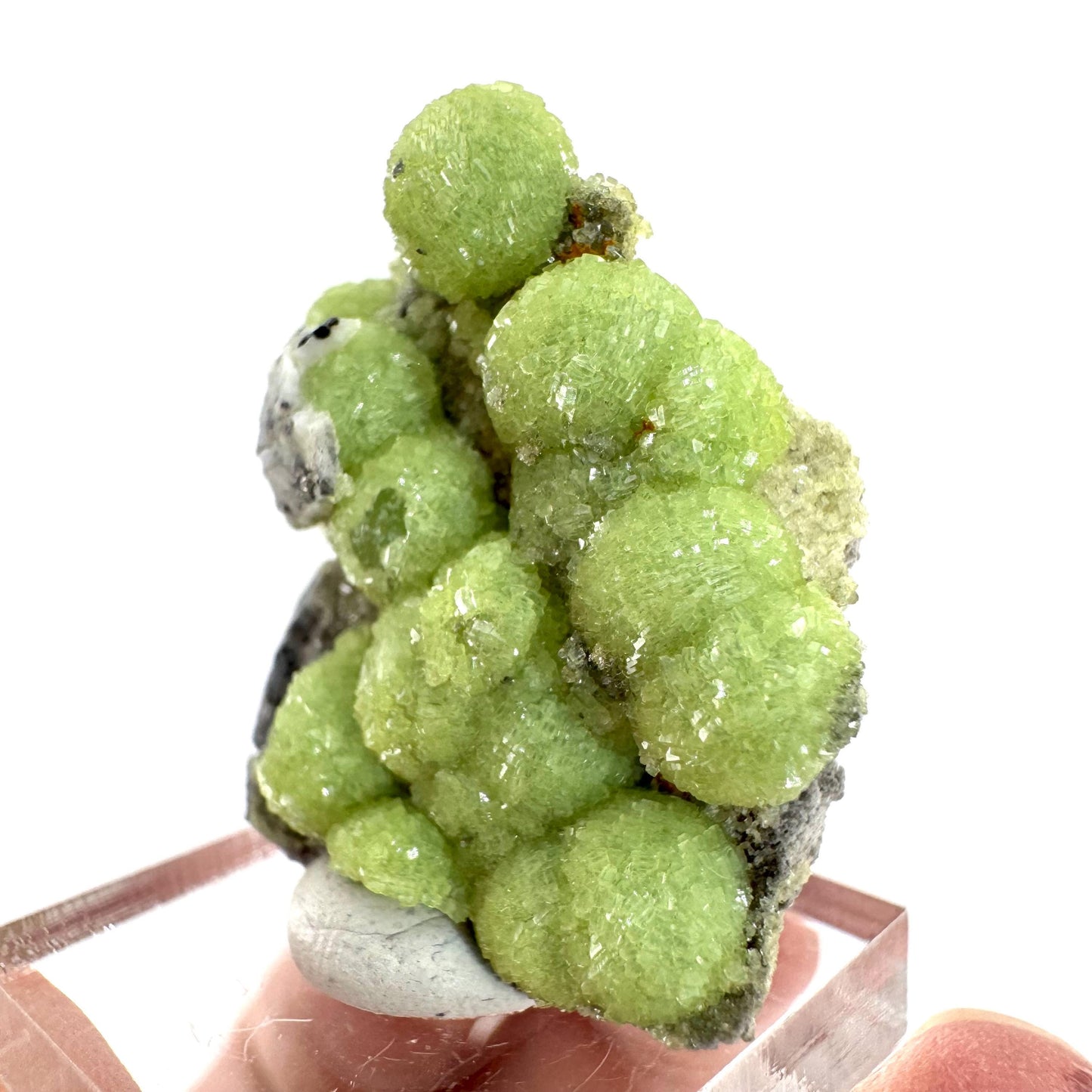 Wavellite (Arkansas, USA) | green crystal cluster, mineral specimen