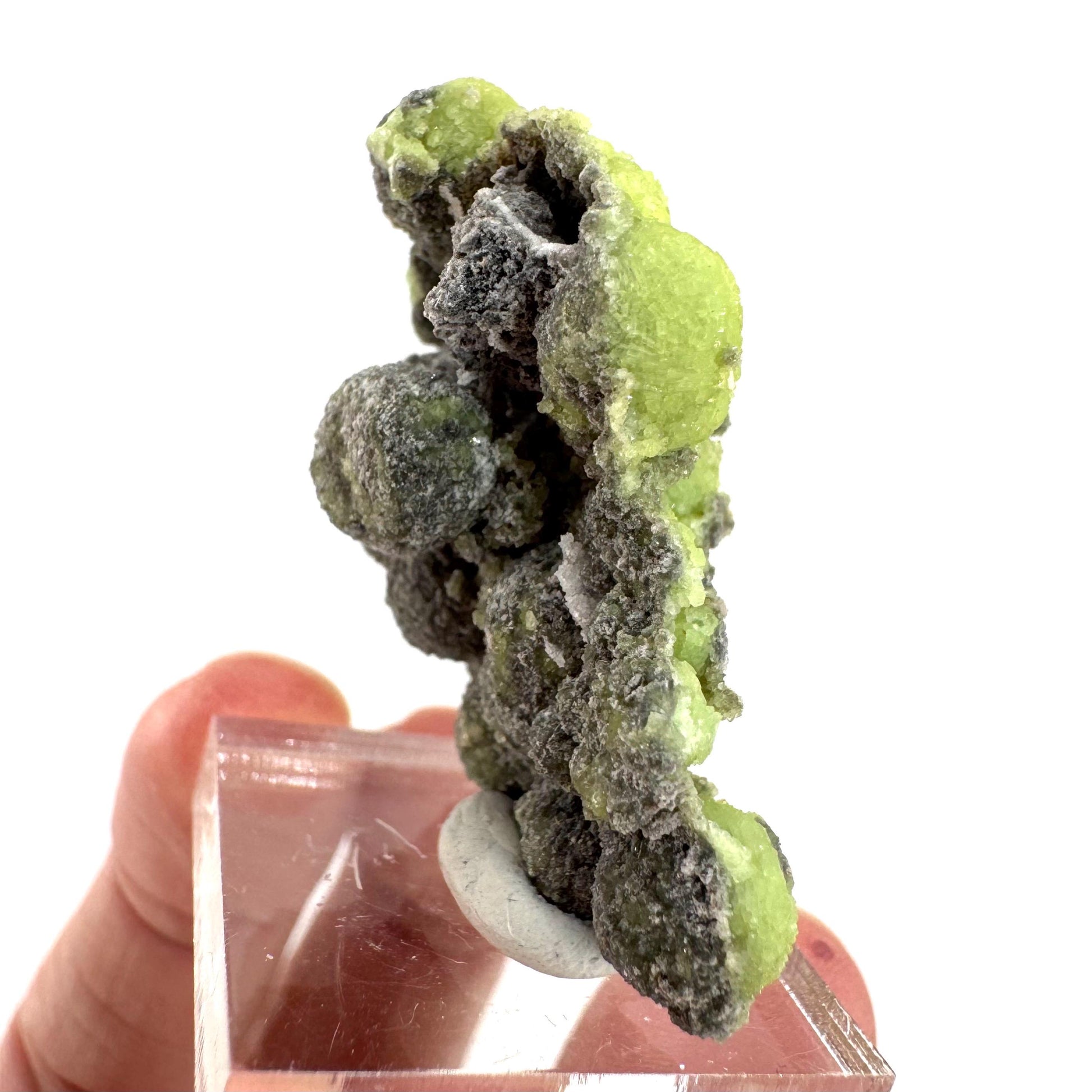 Wavellite (Arkansas, USA) | green crystal cluster, mineral specimen