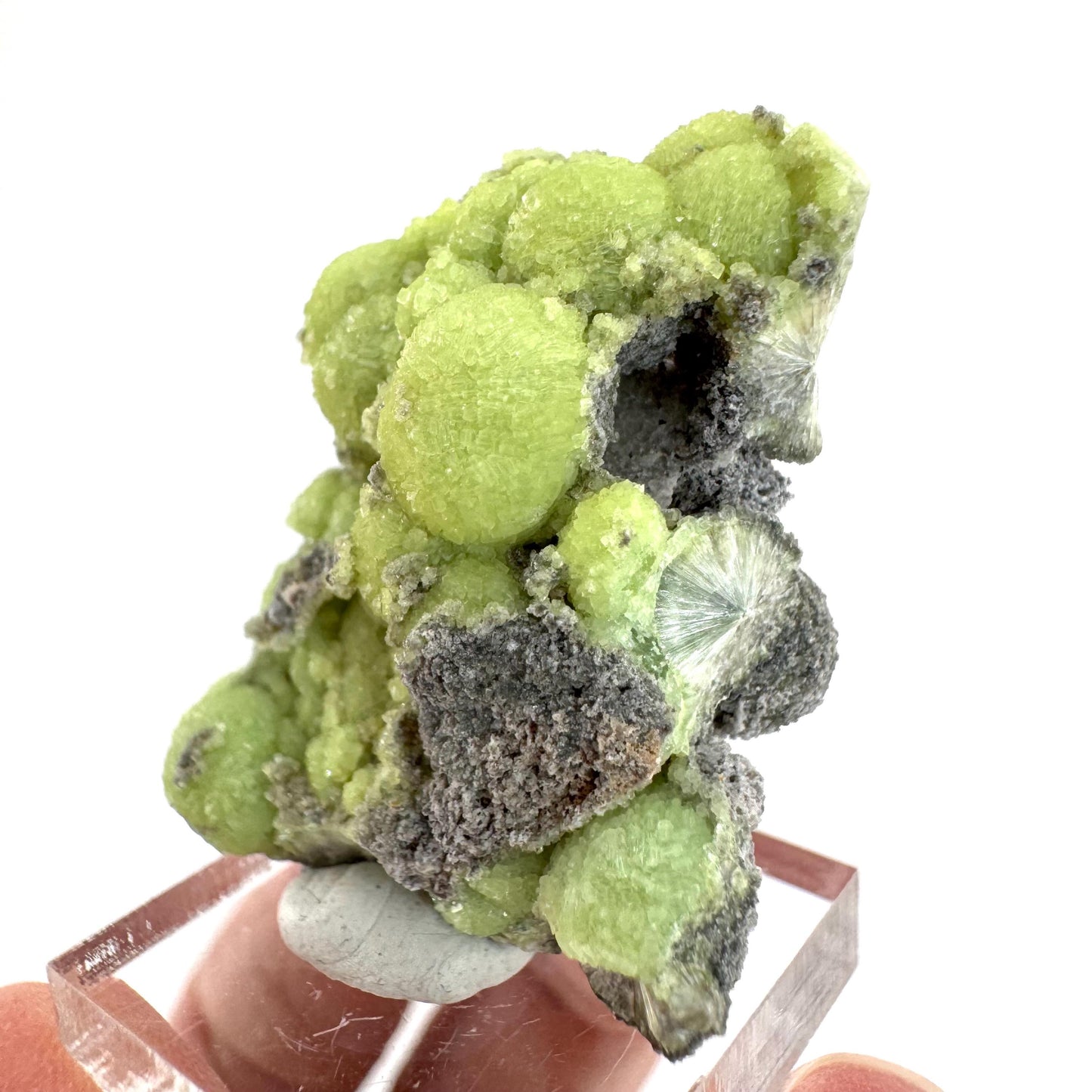 Wavellite (Arkansas, USA) | green crystal cluster, mineral specimen